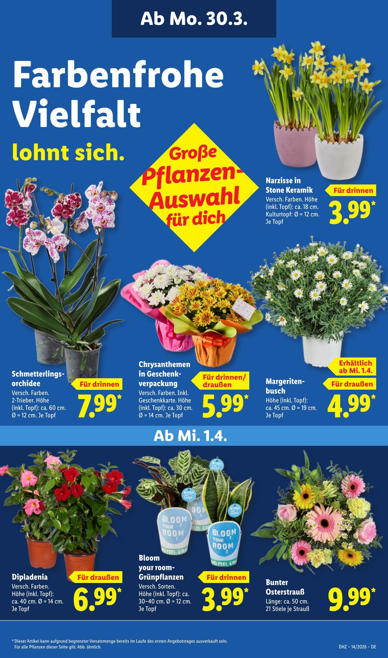 Prospekt Lidl 30.03.2026 - 04.04.2026
