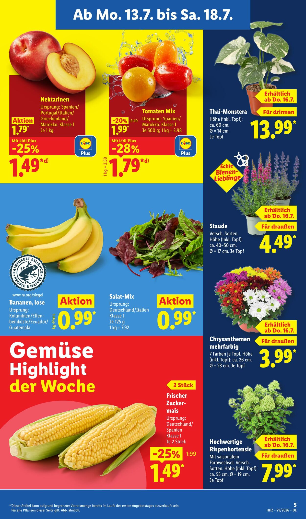 Prospekt Lidl 13.07.2026 - 18.07.2026