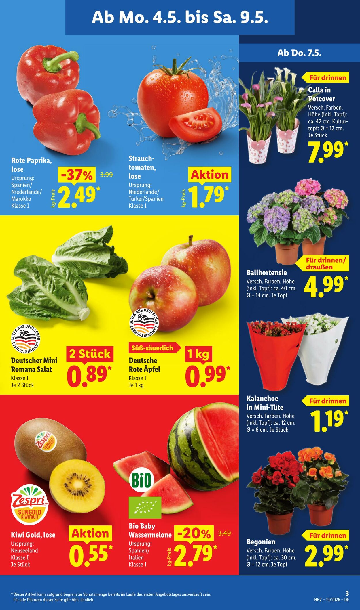 Prospekt Lidl 04.05.2026 - 09.05.2026