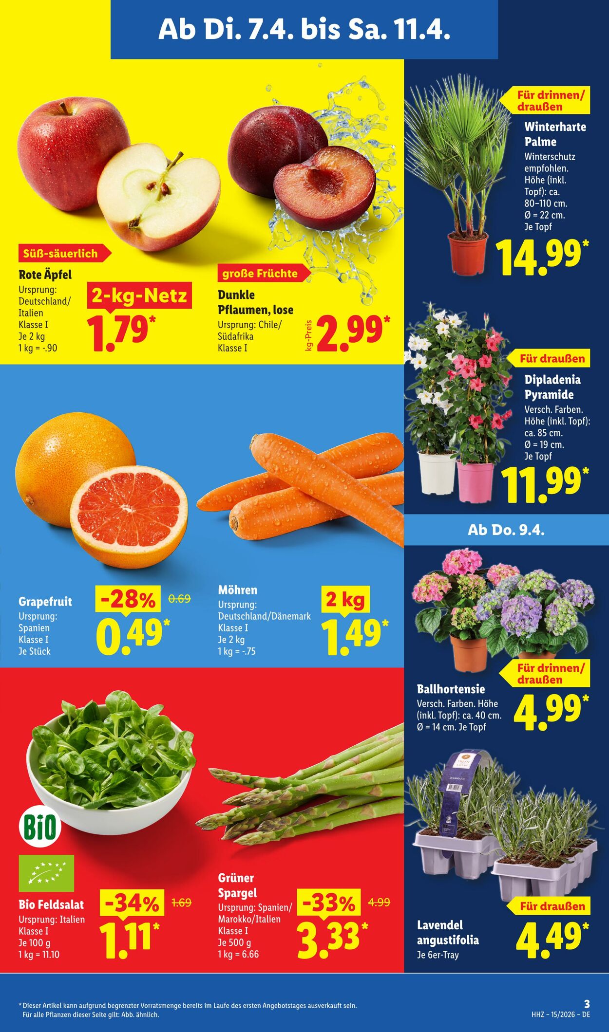 Prospekt Lidl 07.04.2026 - 11.04.2026