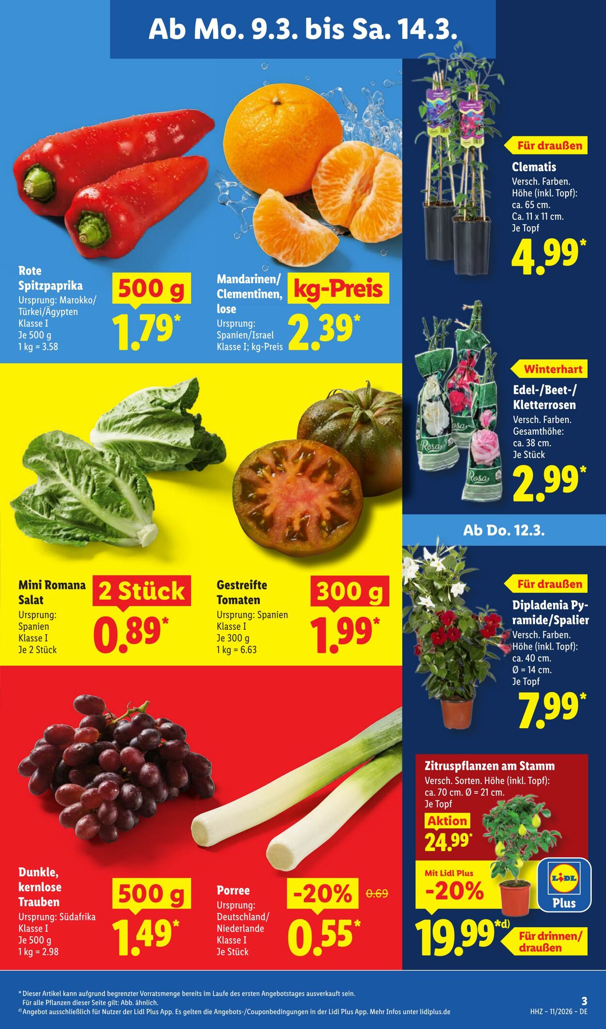 Prospekt Lidl 09.03.2026 - 14.03.2026