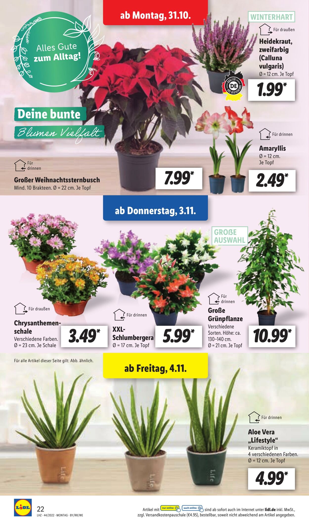 Prospekt Lidl 31.10.2022 - 05.11.2022