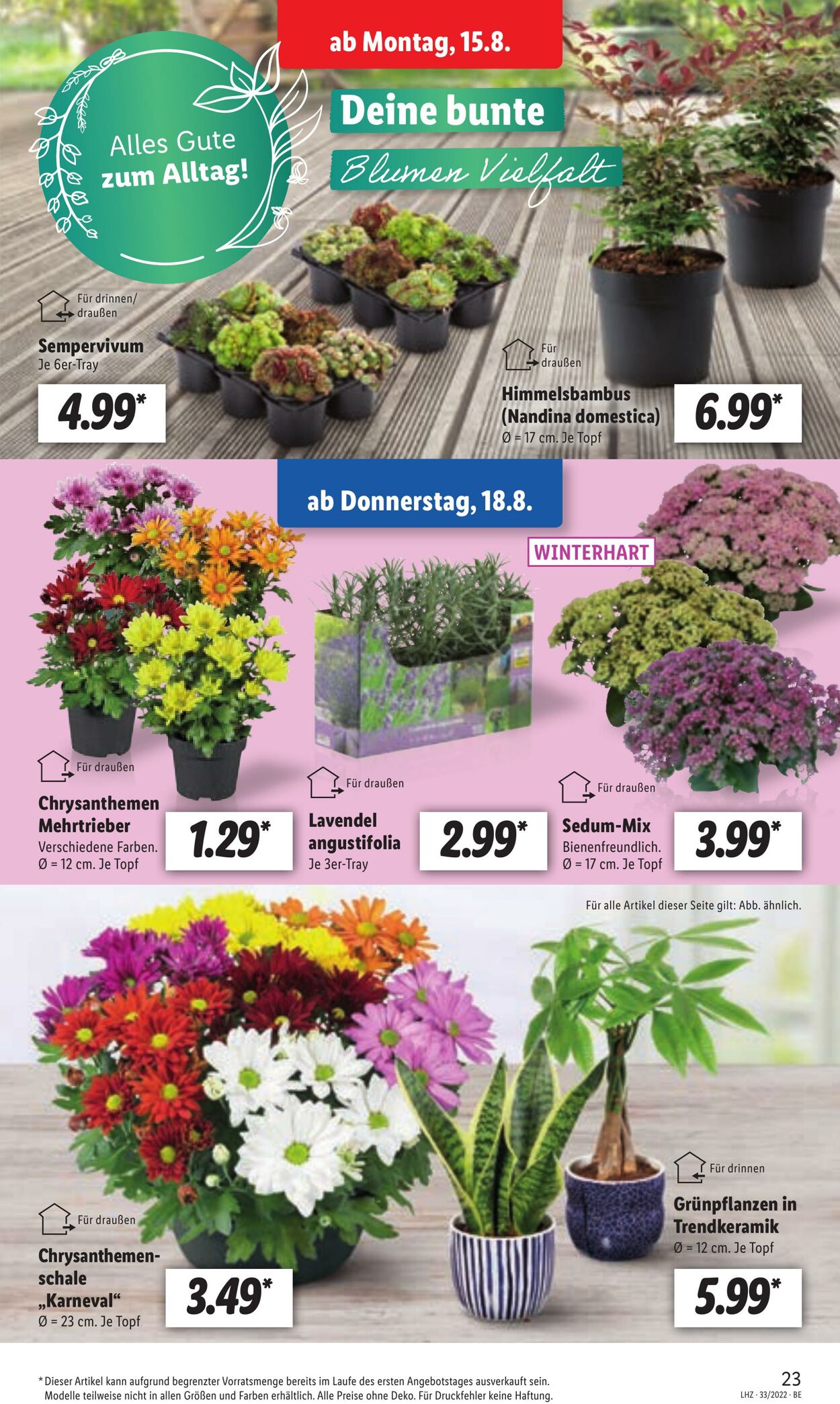 Prospekt Lidl 15.08.2022 - 20.08.2022