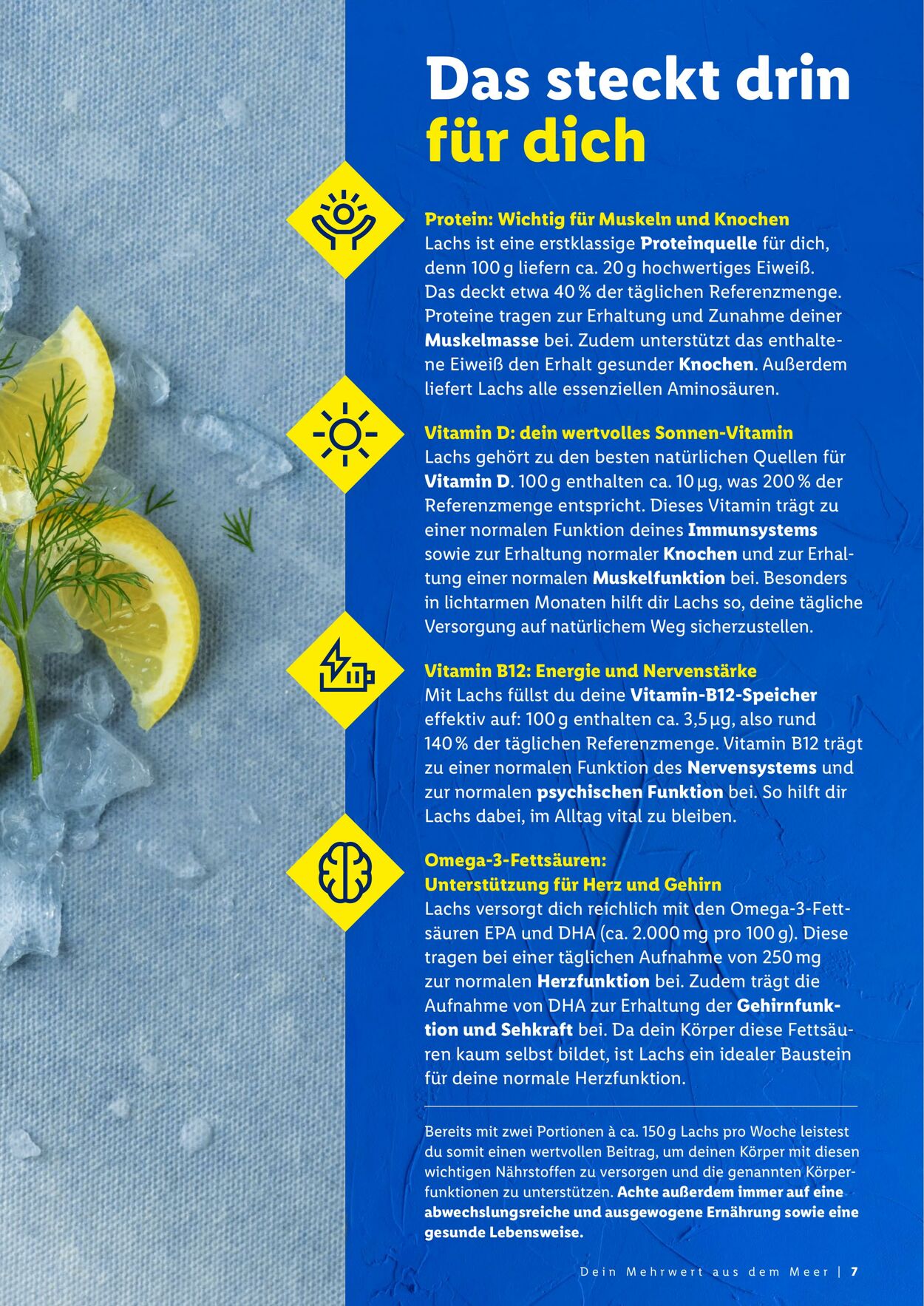 Prospekt Lidl 05.02.2026 - 28.02.2026