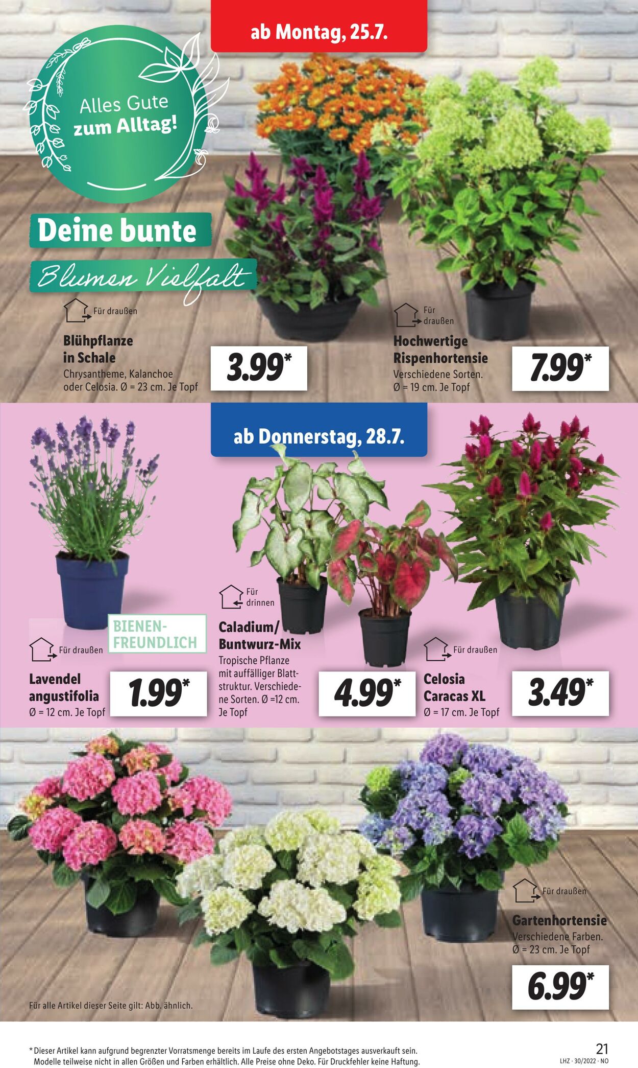 Prospekt Lidl 25.07.2022 - 30.07.2022