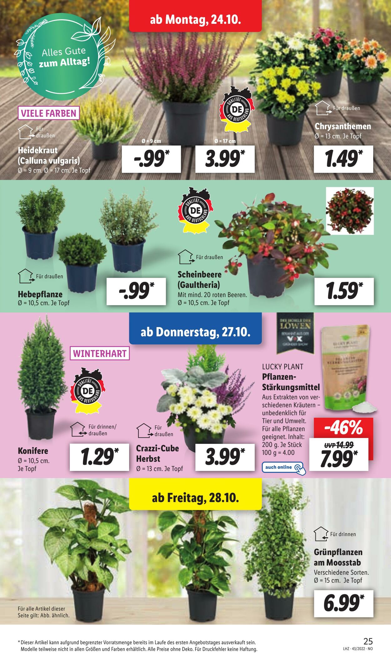 Prospekt Lidl 24.10.2022 - 29.10.2022