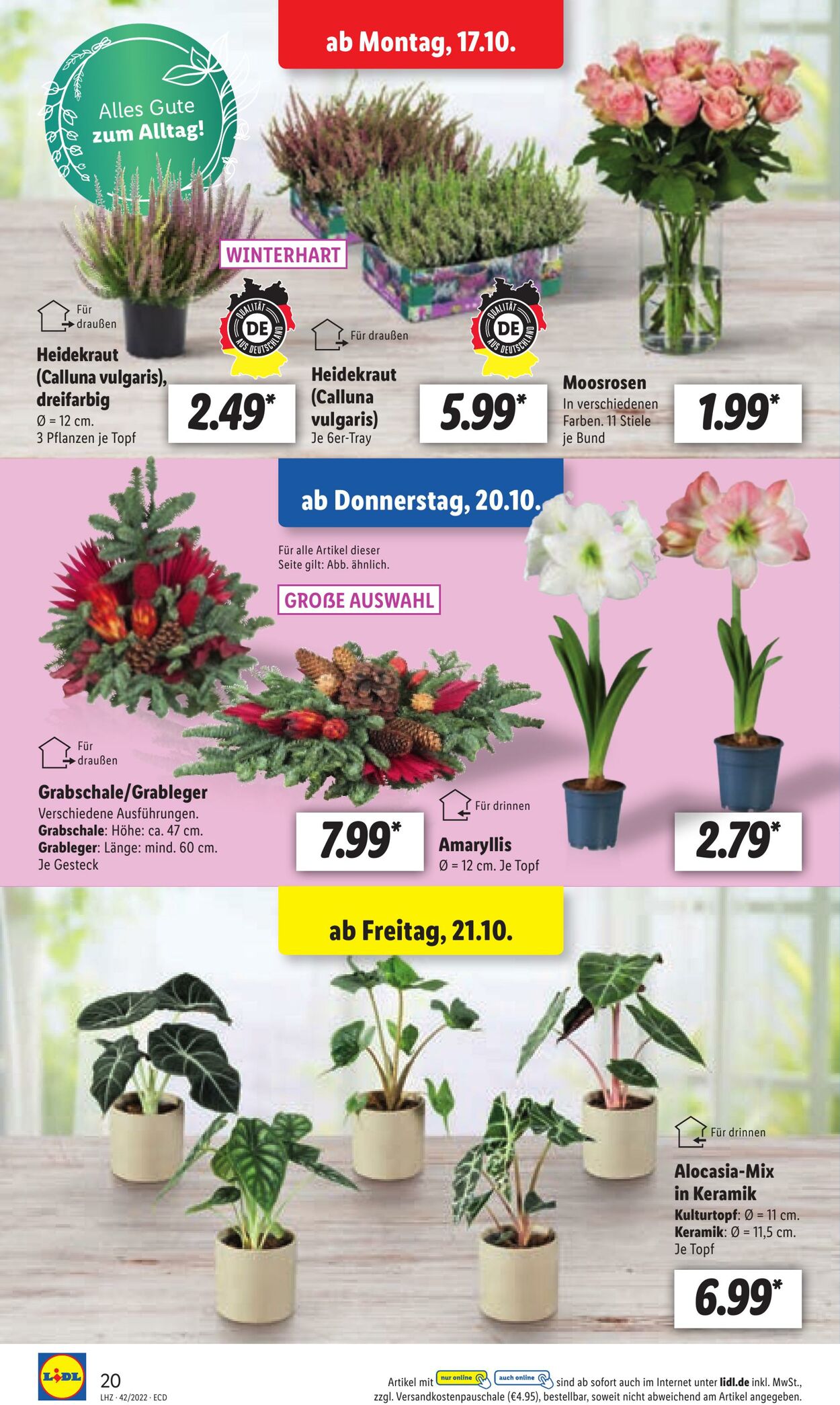 Prospekt Lidl 17.10.2022 - 22.10.2022