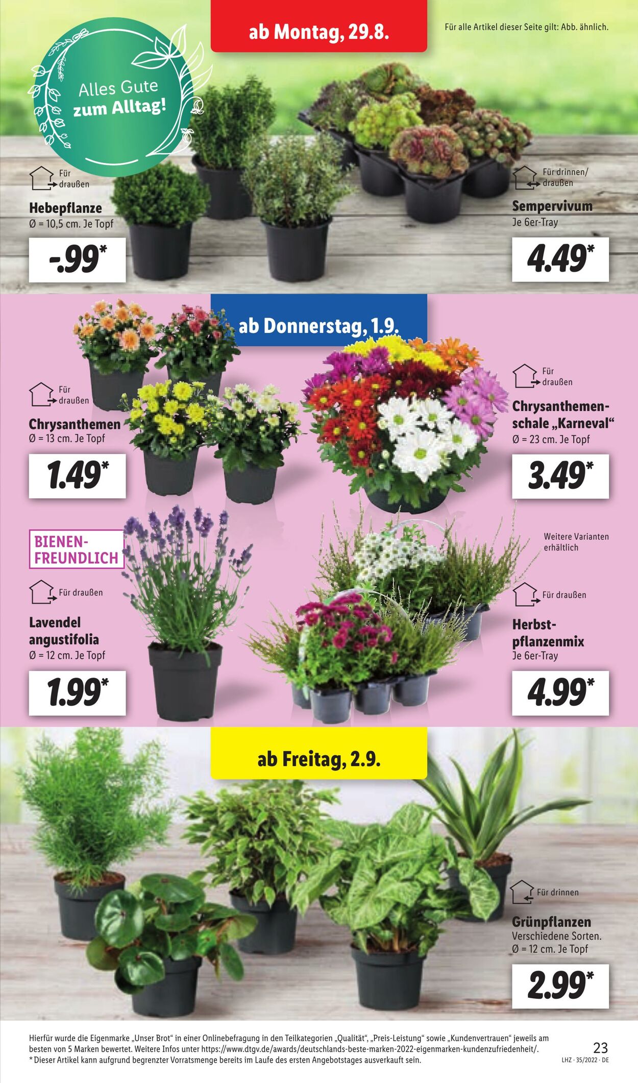 Prospekt Lidl 29.08.2022 - 03.09.2022