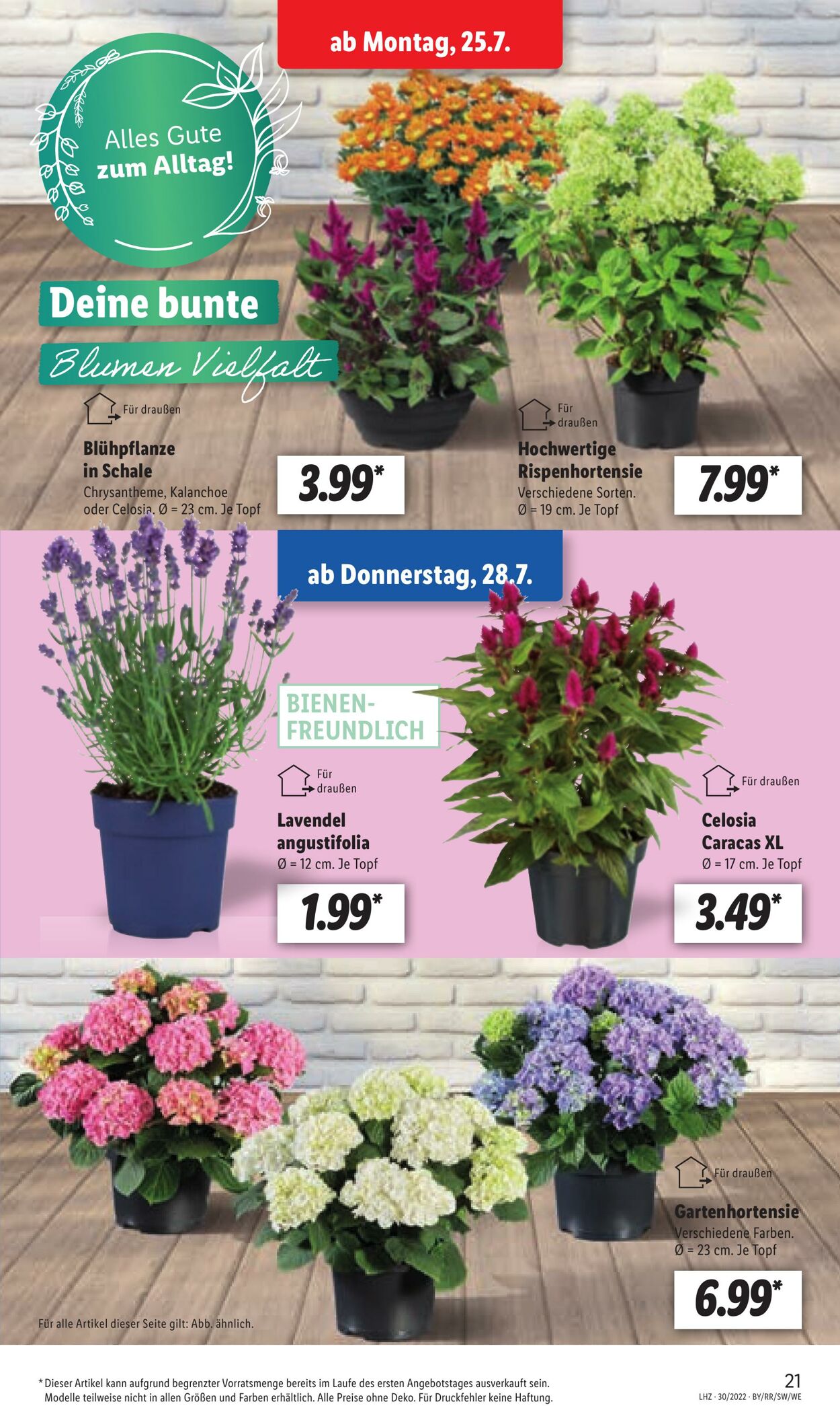 Prospekt Lidl 25.07.2022 - 30.07.2022