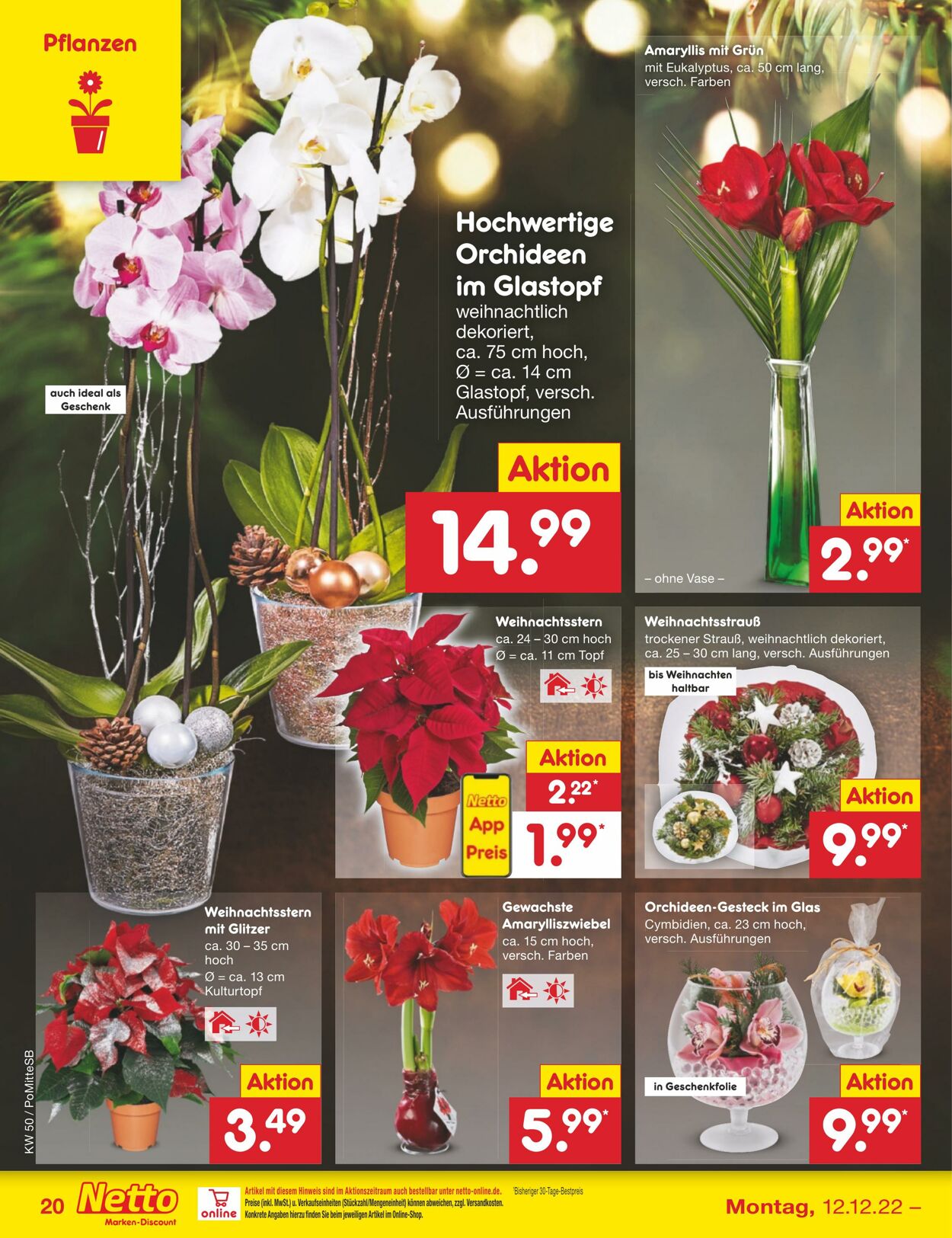 Prospekt Netto-Marken-Discount 12.12.2022 - 17.12.2022