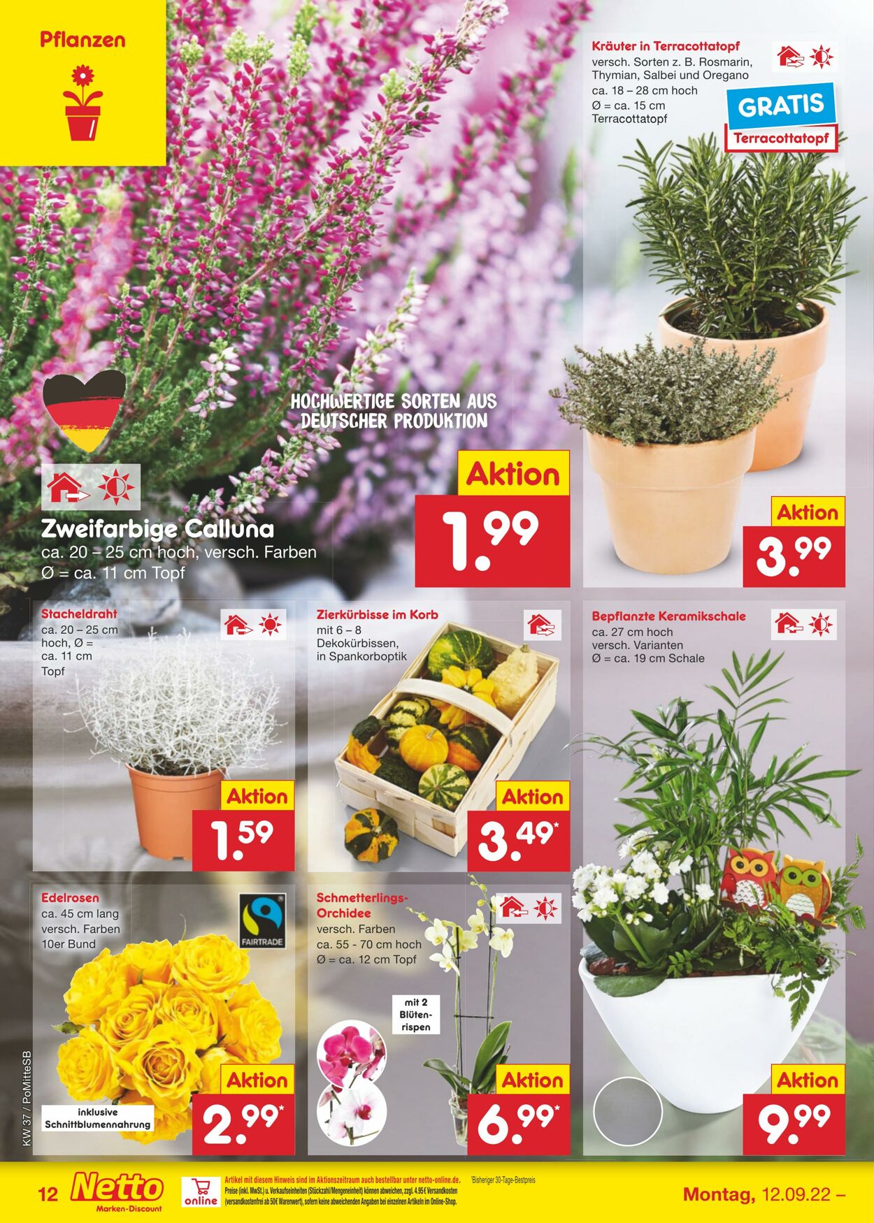 Prospekt Netto-Marken-Discount 12.09.2022 - 17.09.2022