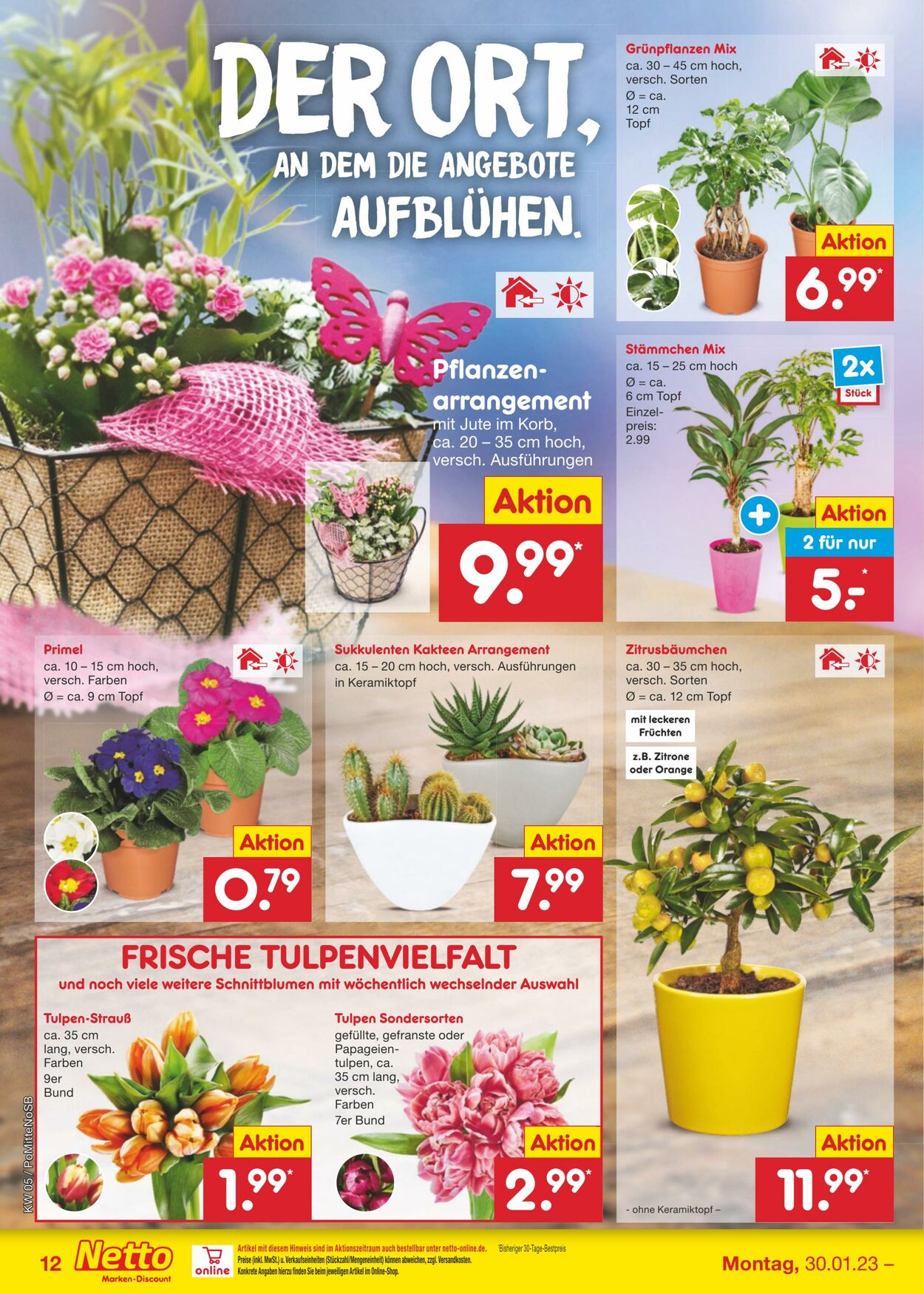 Prospekt Netto-Marken-Discount 30.01.2023 - 04.02.2023