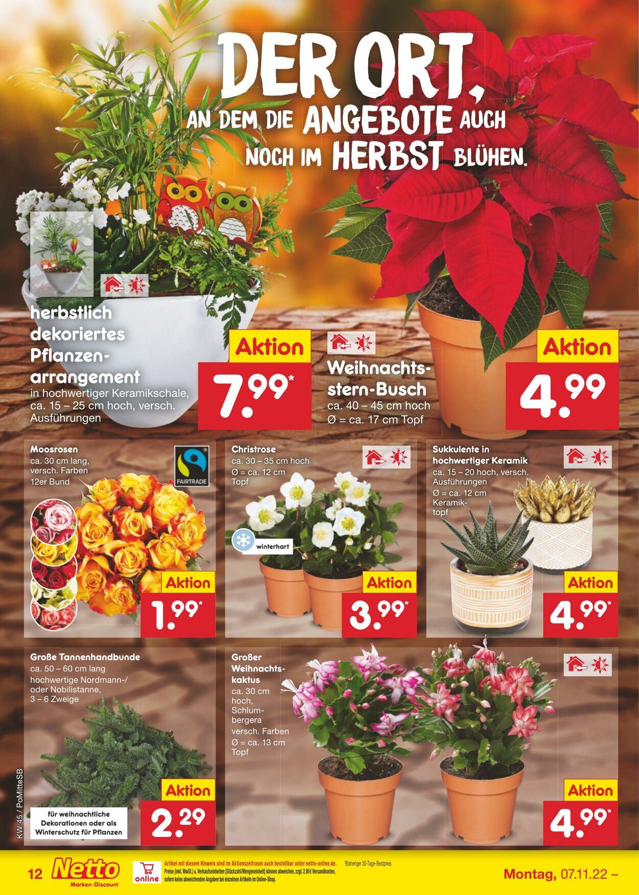 Prospekt Netto-Marken-Discount 07.11.2022 - 12.11.2022