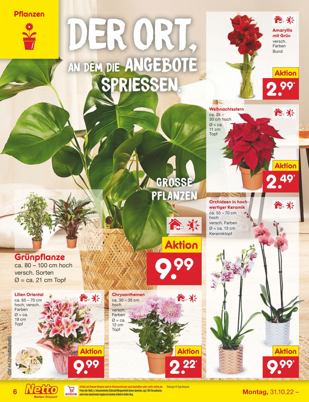 Prospekt Netto-Marken-Discount 31.10.2022 - 05.11.2022