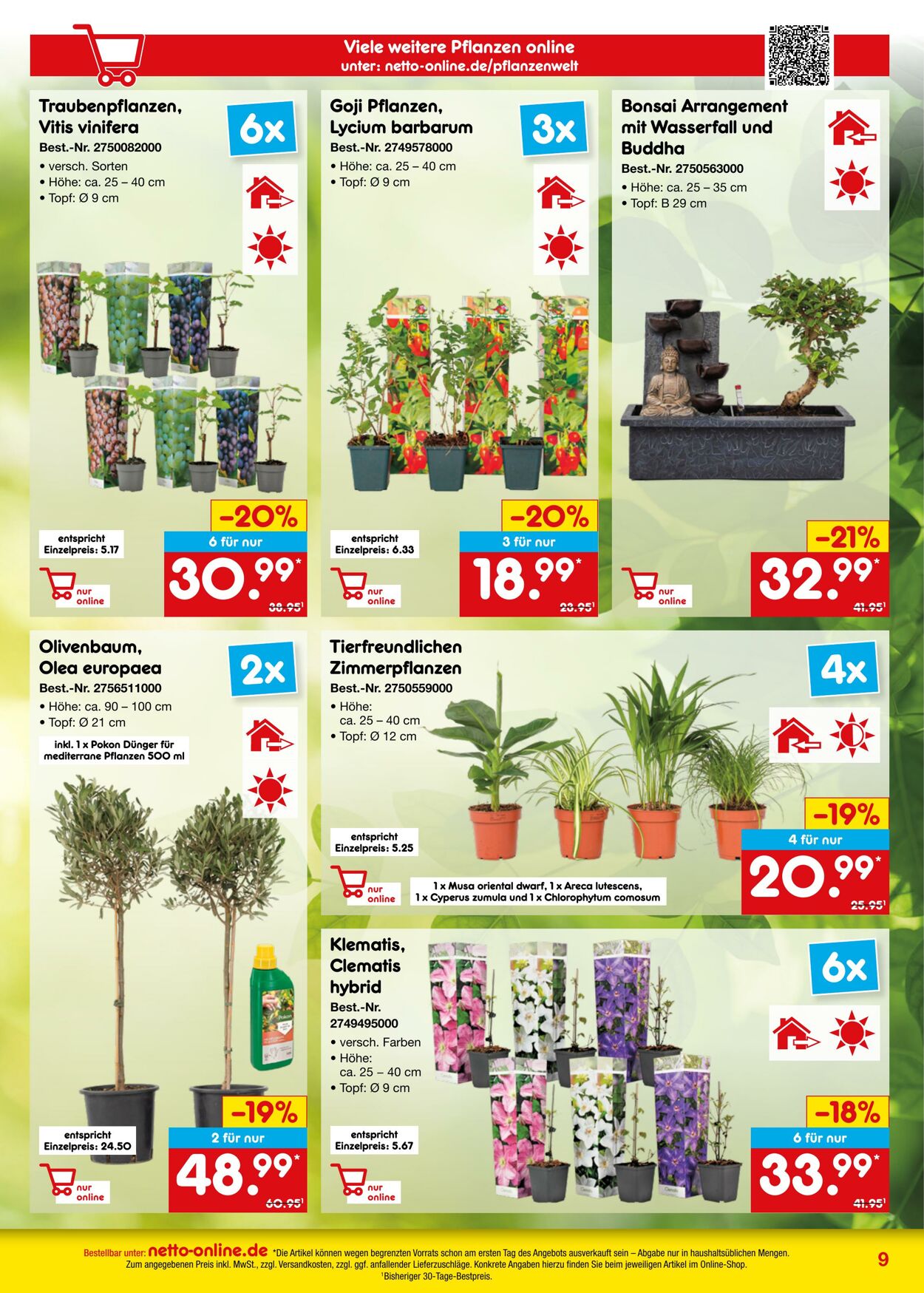Prospekt Netto-Marken-Discount 01.03.2025 - 01.04.2025