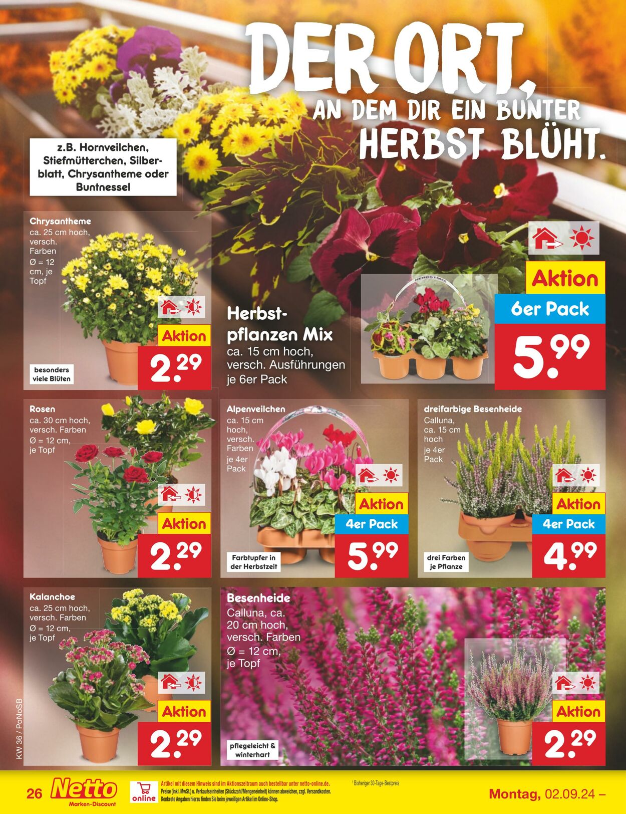 Prospekt Netto-Marken-Discount 02.09.2024 - 07.09.2024