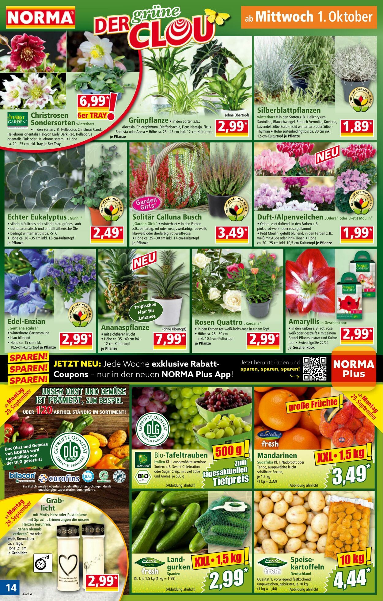 Prospekt Norma 15.09.2025 - 20.09.2025