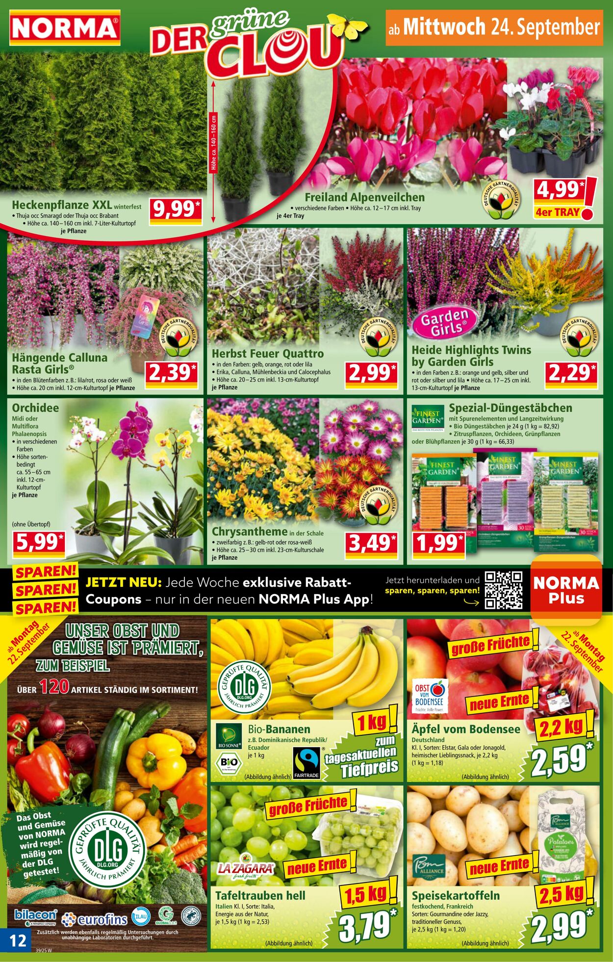 Prospekt Norma 08.09.2025 - 13.09.2025