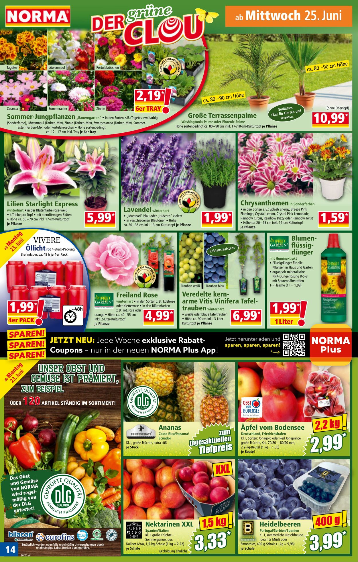 Prospekt Norma 09.06.2025 - 14.06.2025