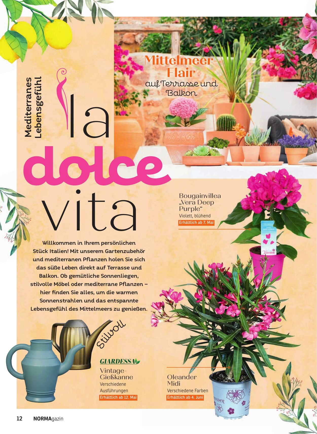 Prospekt Norma 28.04.2025 - 03.05.2025