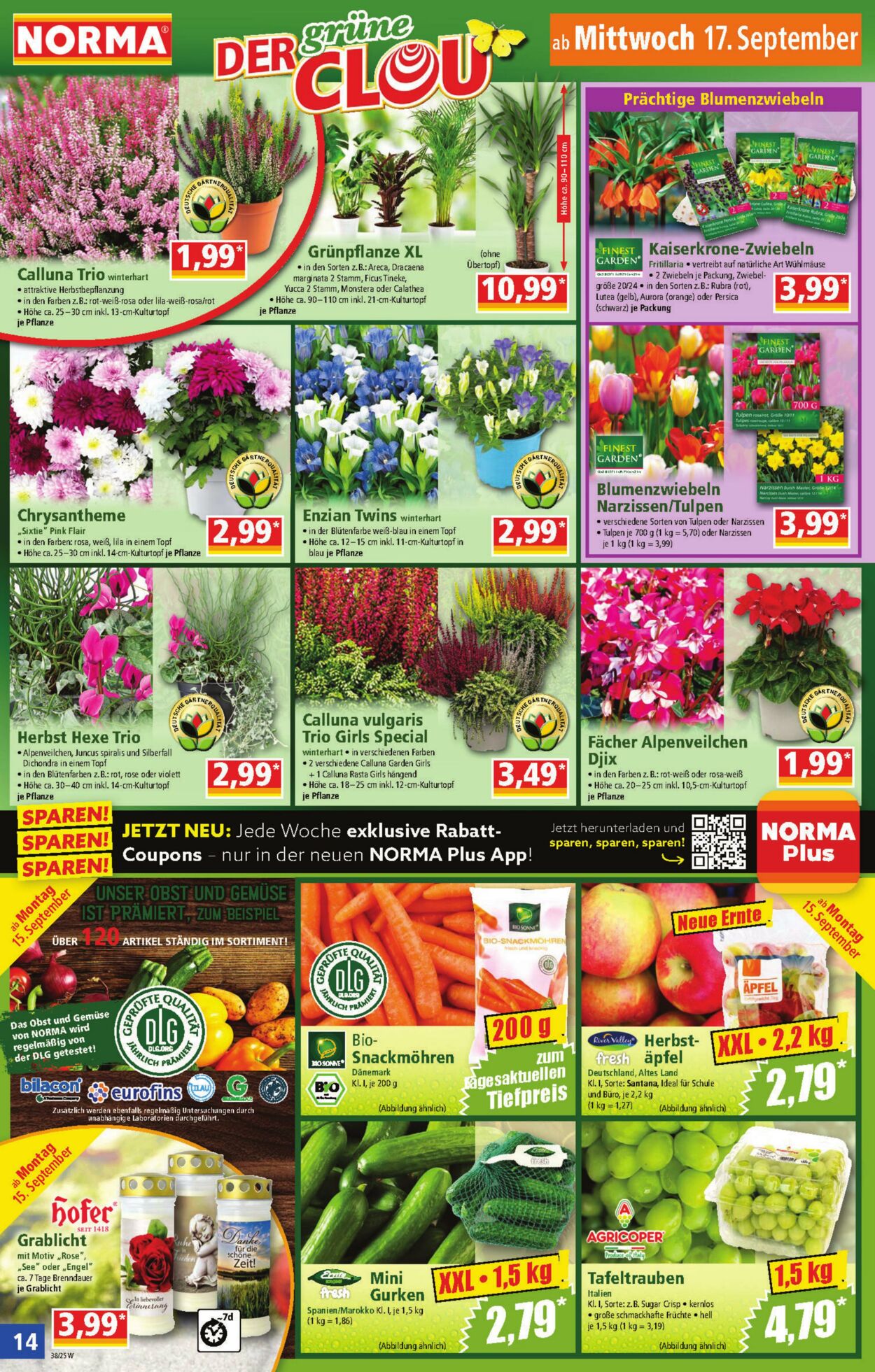 Prospekt Norma 08.09.2025 - 13.09.2025