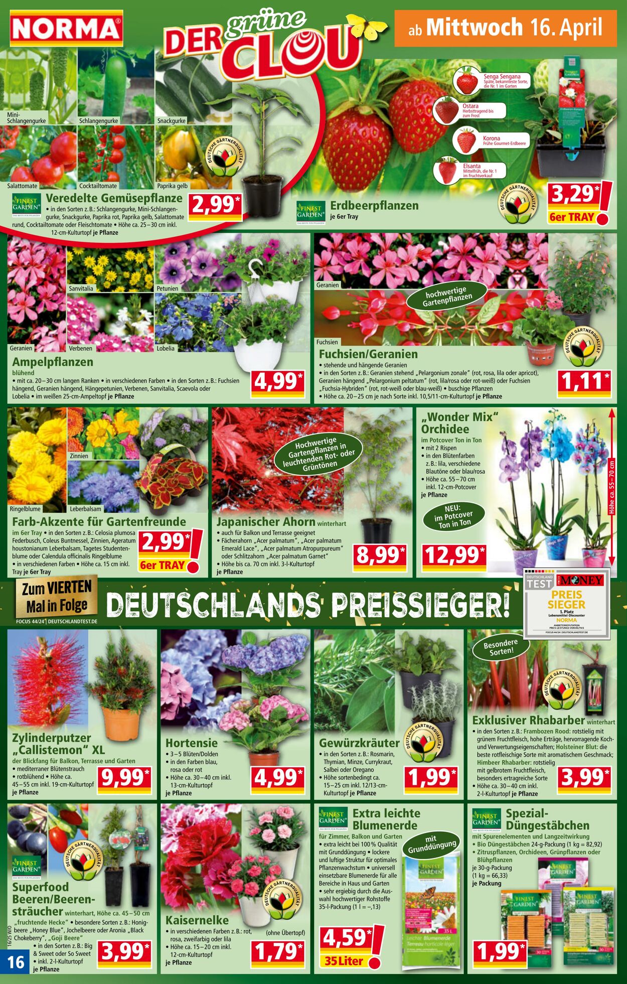 Prospekt Norma 31.03.2025 - 05.04.2025