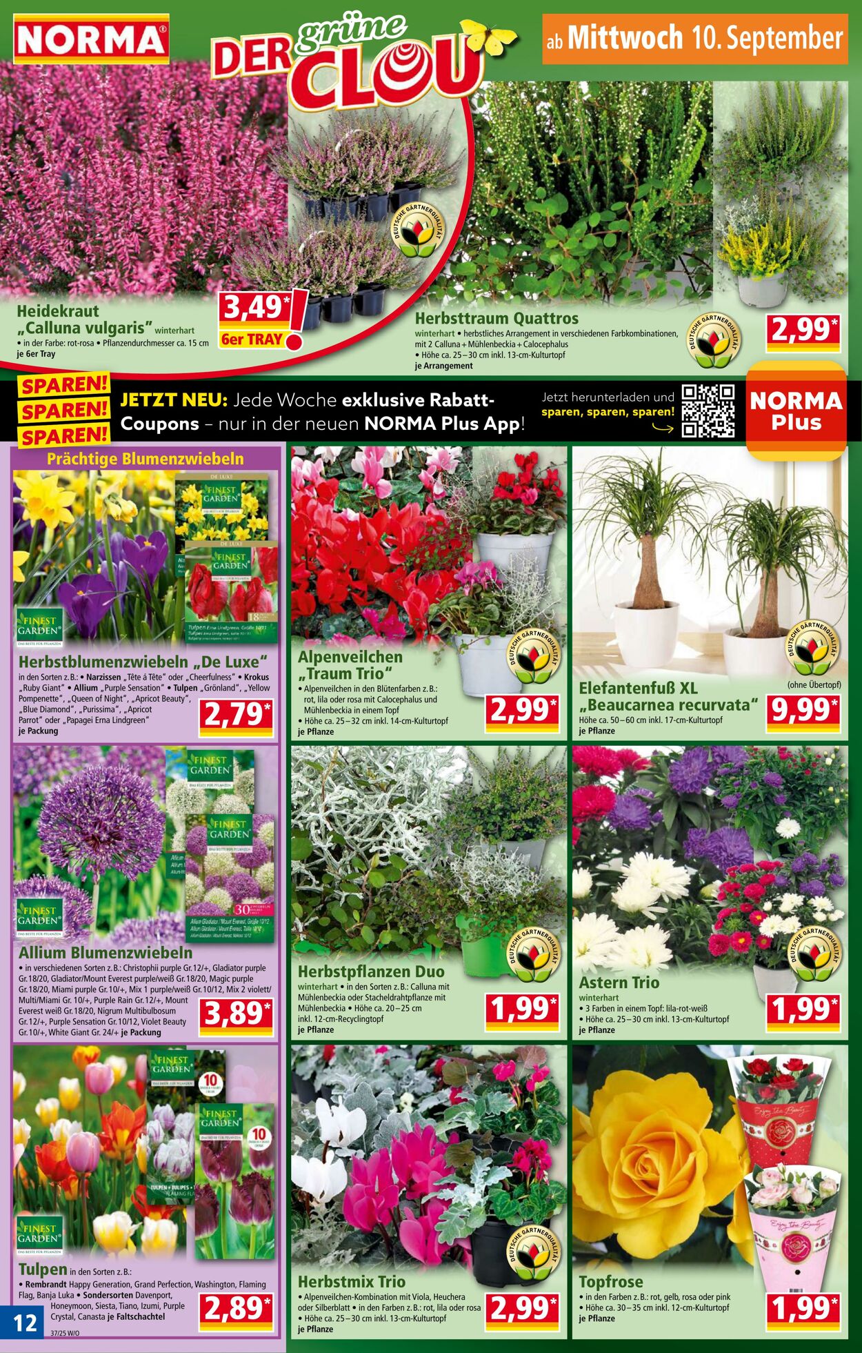 Prospekt Norma 25.08.2025 - 30.08.2025