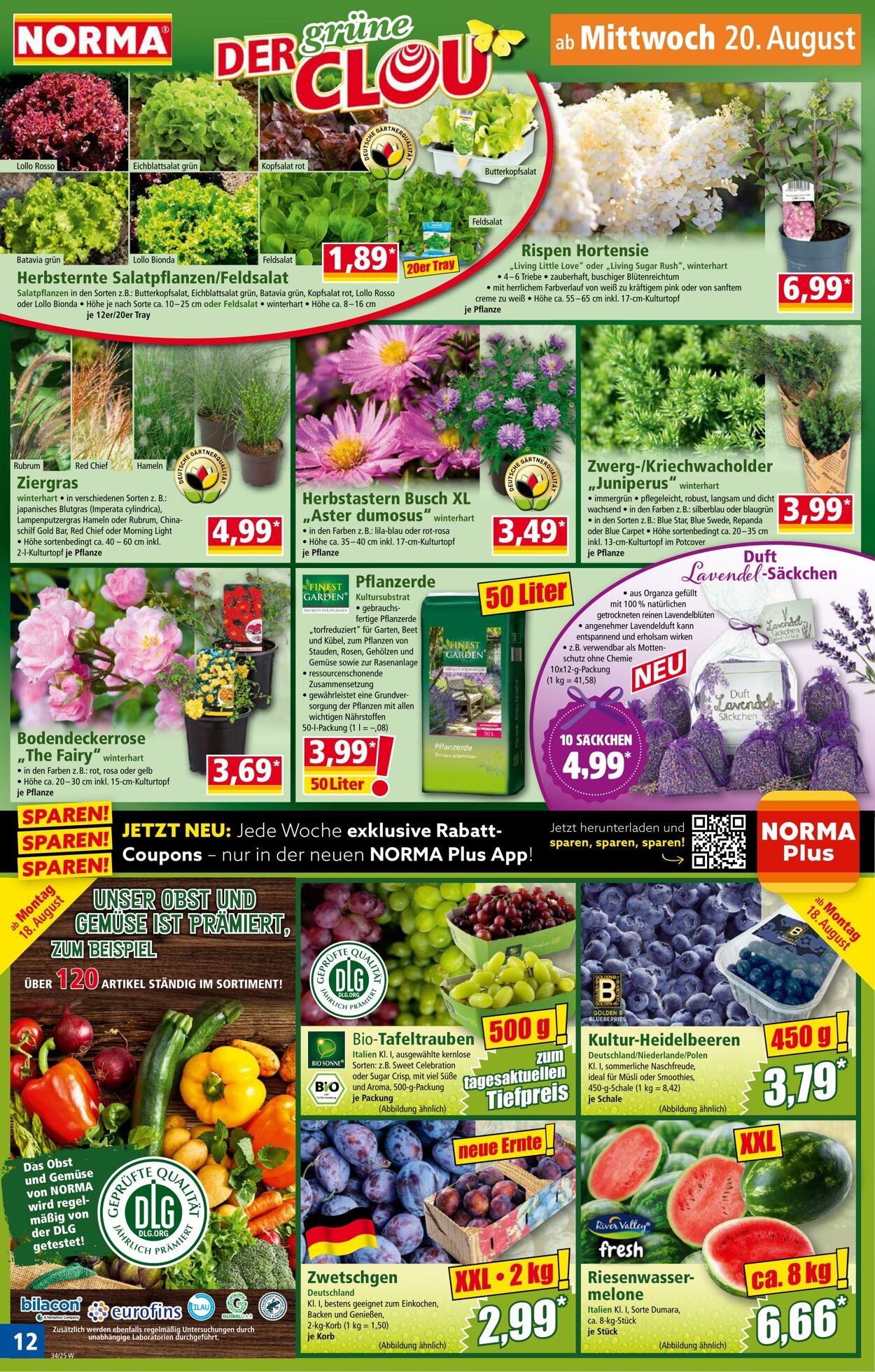 Prospekt Norma 04.08.2025 - 09.08.2025