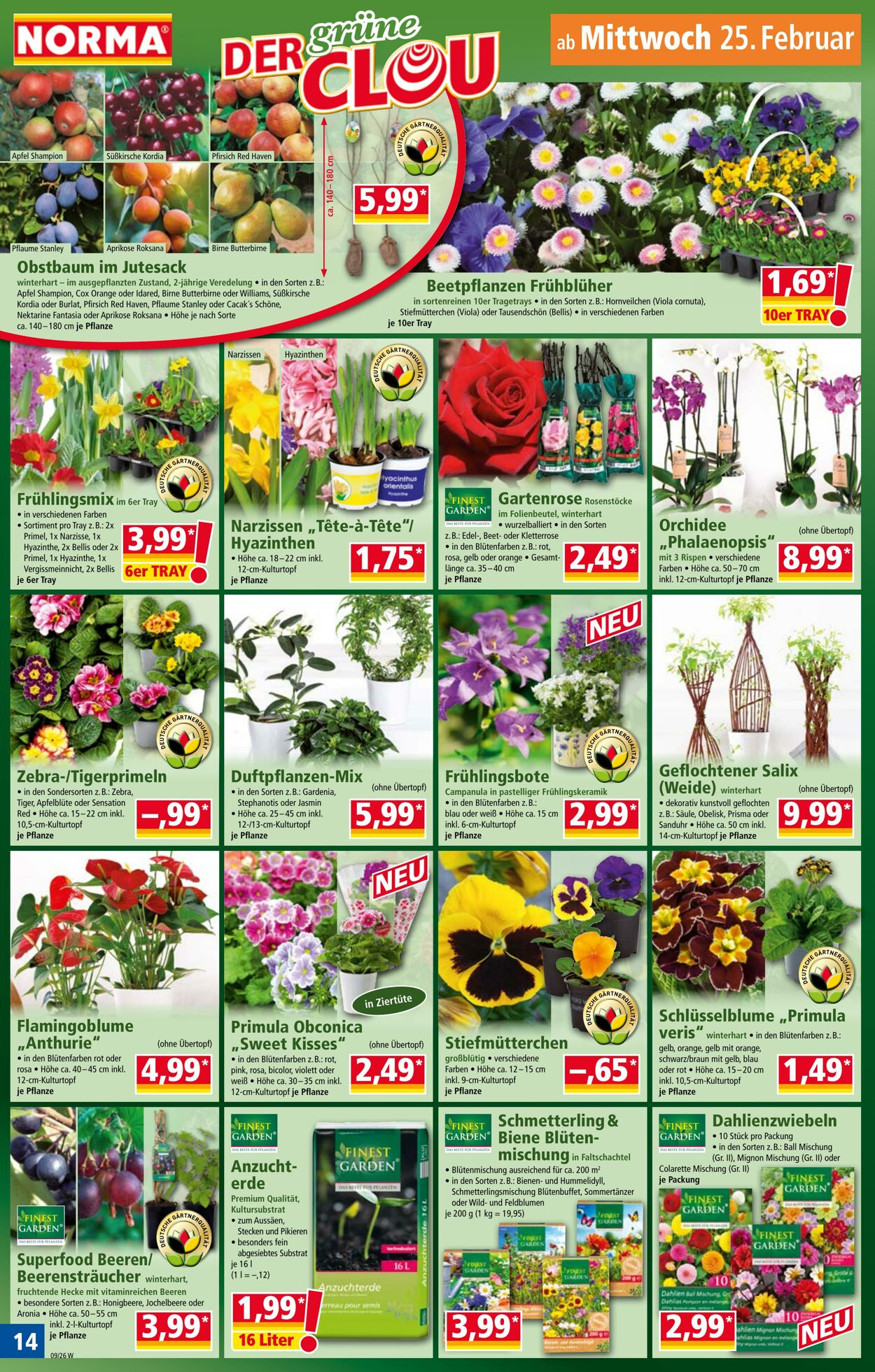 Prospekt Norma 16.02.2026 - 21.02.2026