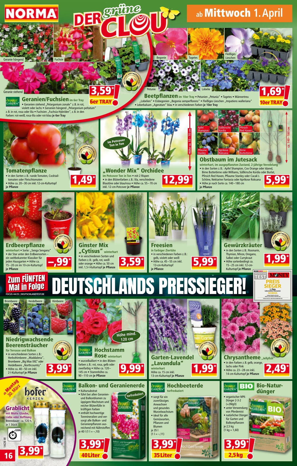 Prospekt Norma 16.03.2026 - 21.03.2026