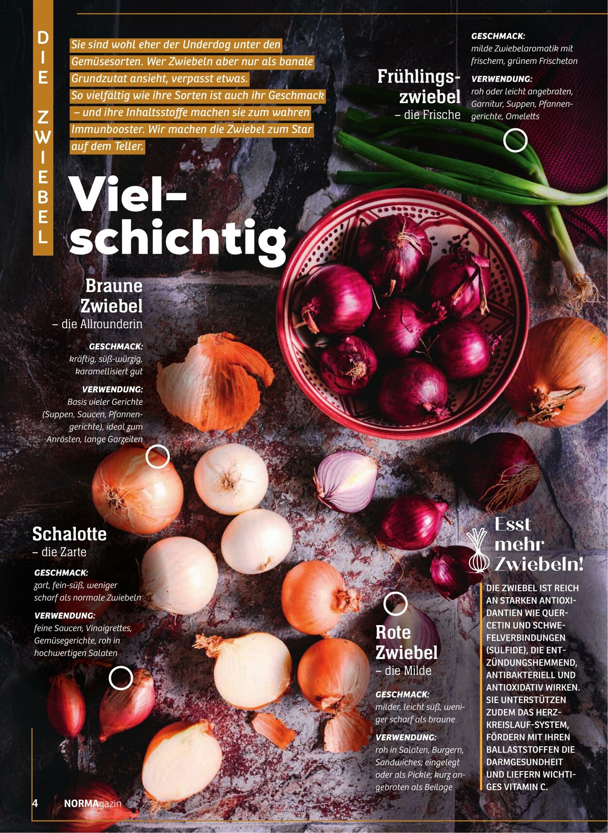 Prospekt Norma 16.02.2026 - 21.02.2026