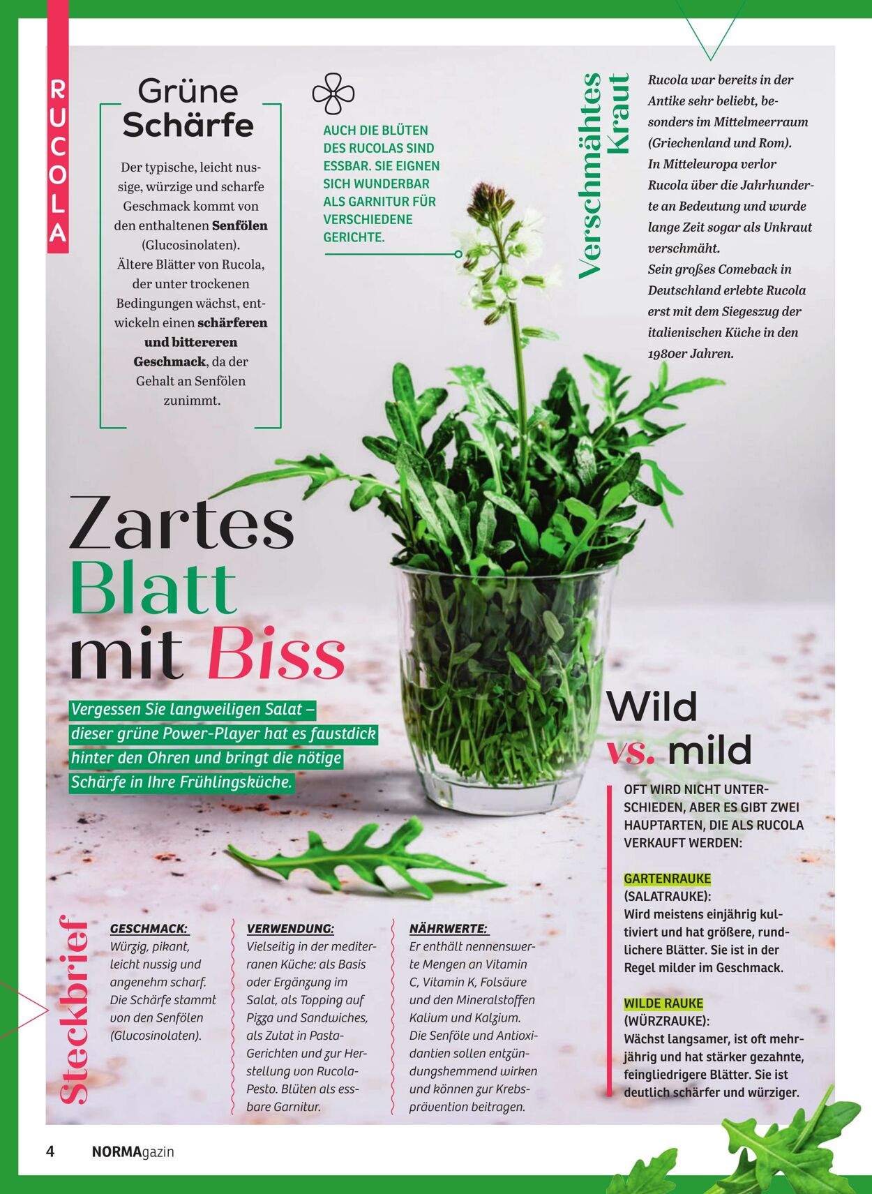 Prospekt Norma 23.02.2026 - 28.02.2026