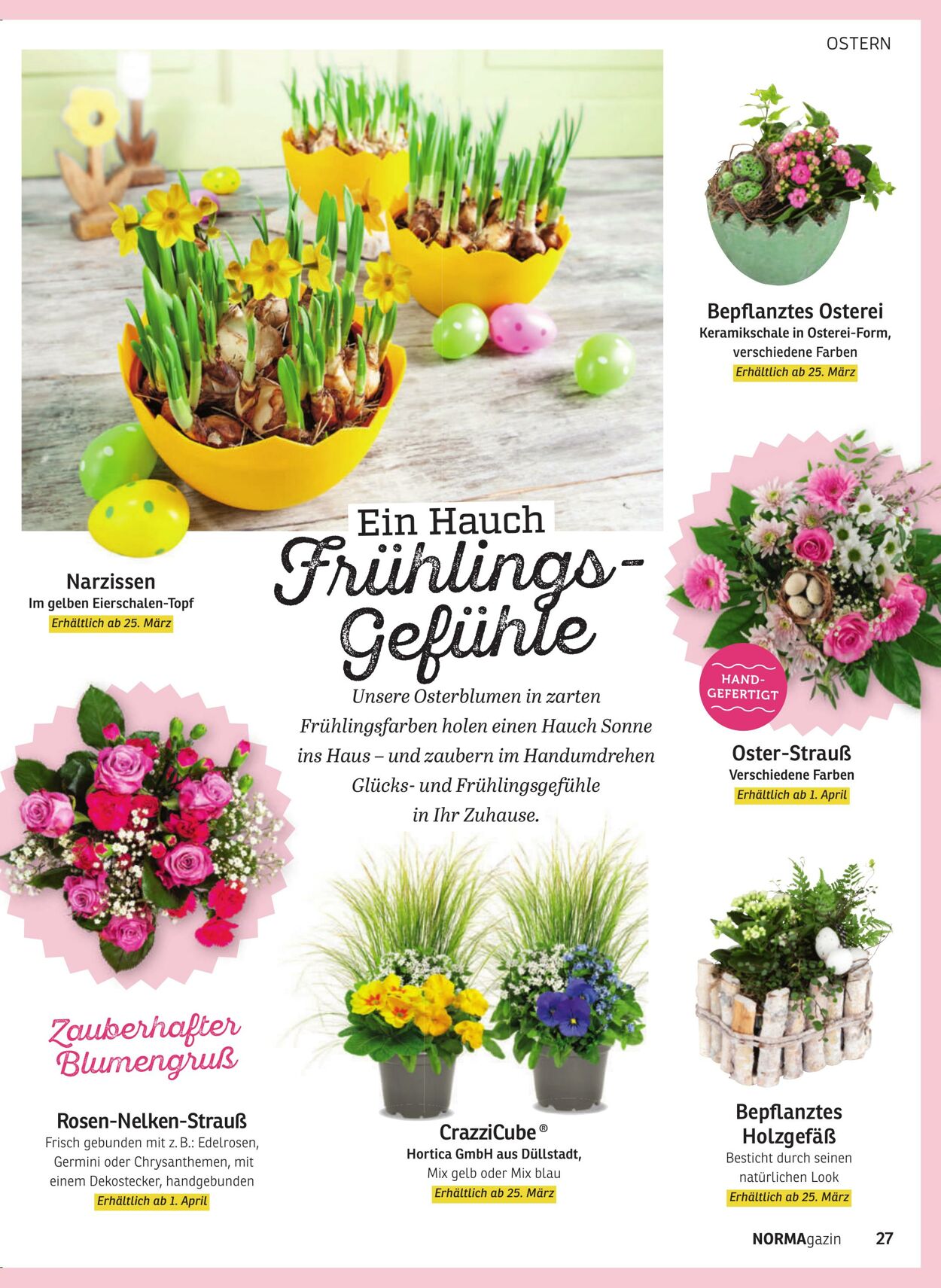 Prospekt Norma 23.02.2026 - 28.02.2026