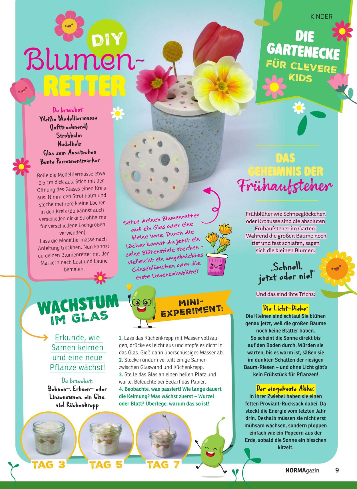 Prospekt Norma 23.02.2026 - 28.02.2026