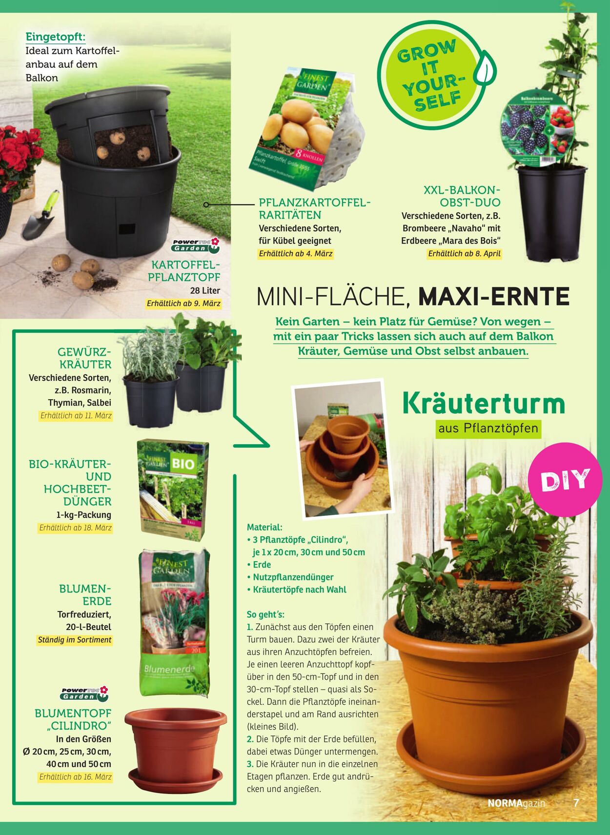 Prospekt Norma 23.02.2026 - 28.02.2026