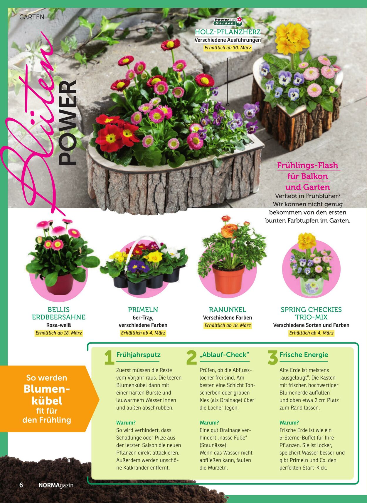 Prospekt Norma 23.02.2026 - 28.02.2026