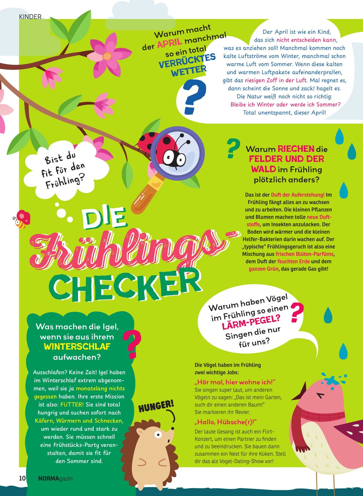 Prospekt Norma 23.02.2026 - 28.02.2026