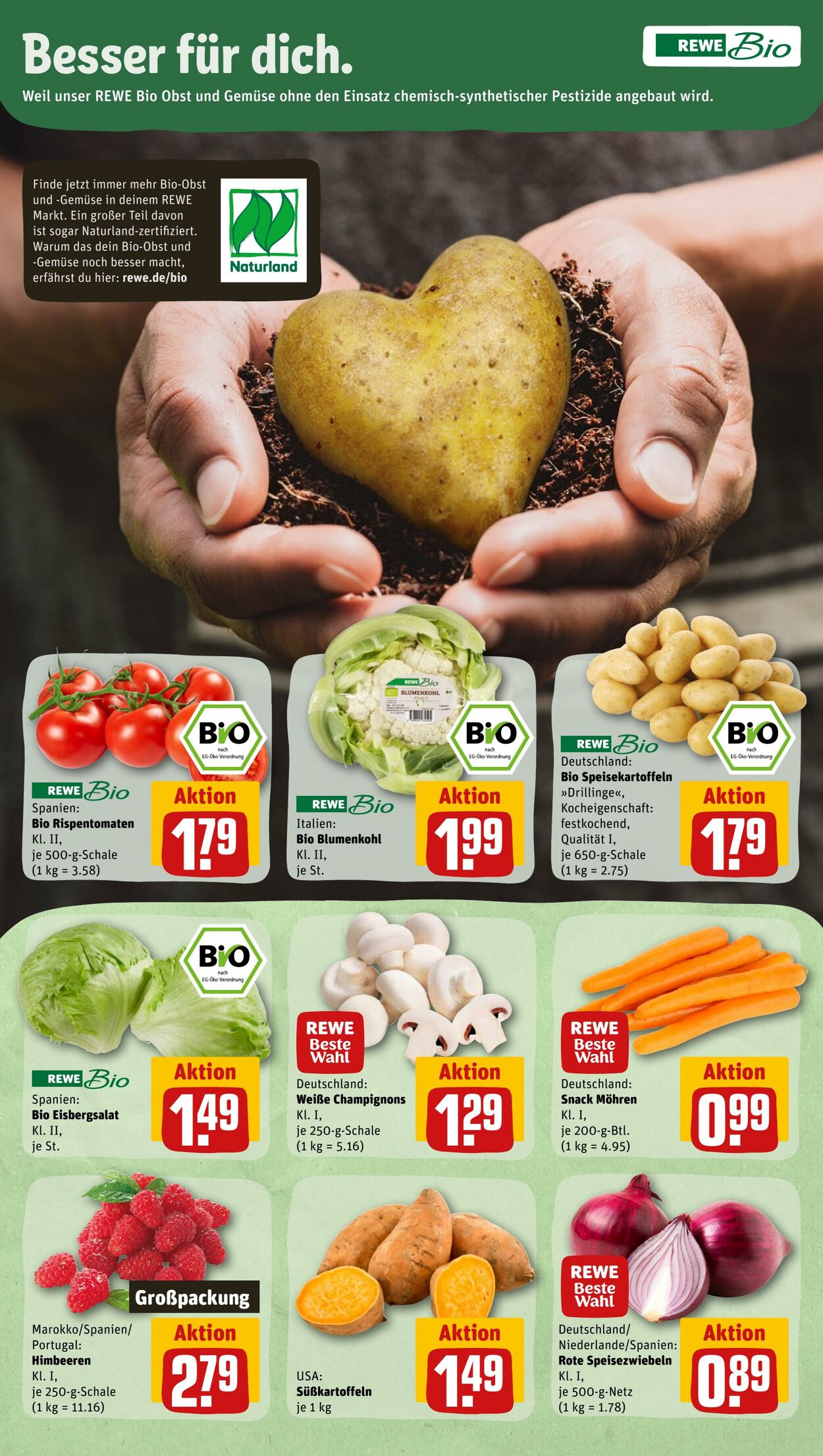 Prospekt Rewe 06.02.2023 - 11.02.2023