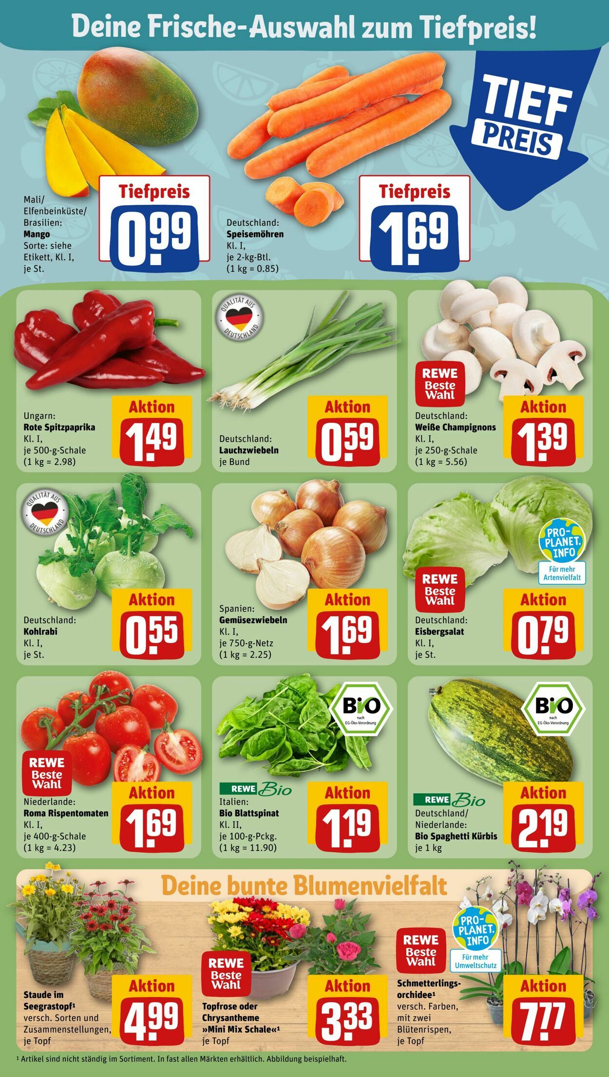 Prospekt Rewe 27.08.2023 - 02.09.2023