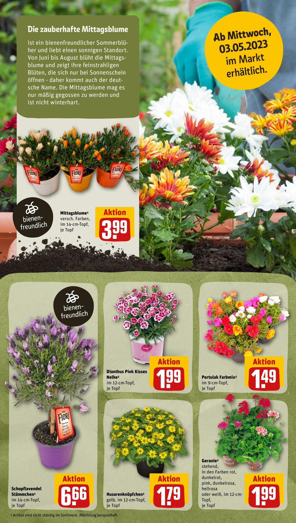 Prospekt Rewe 01.05.2023 - 06.05.2023