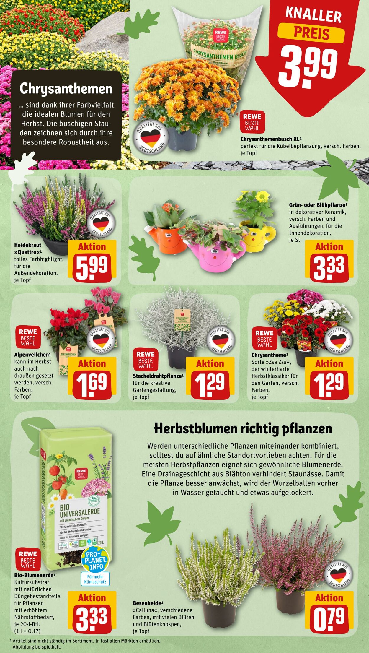 Prospekt Rewe 26.09.2022 - 01.10.2022