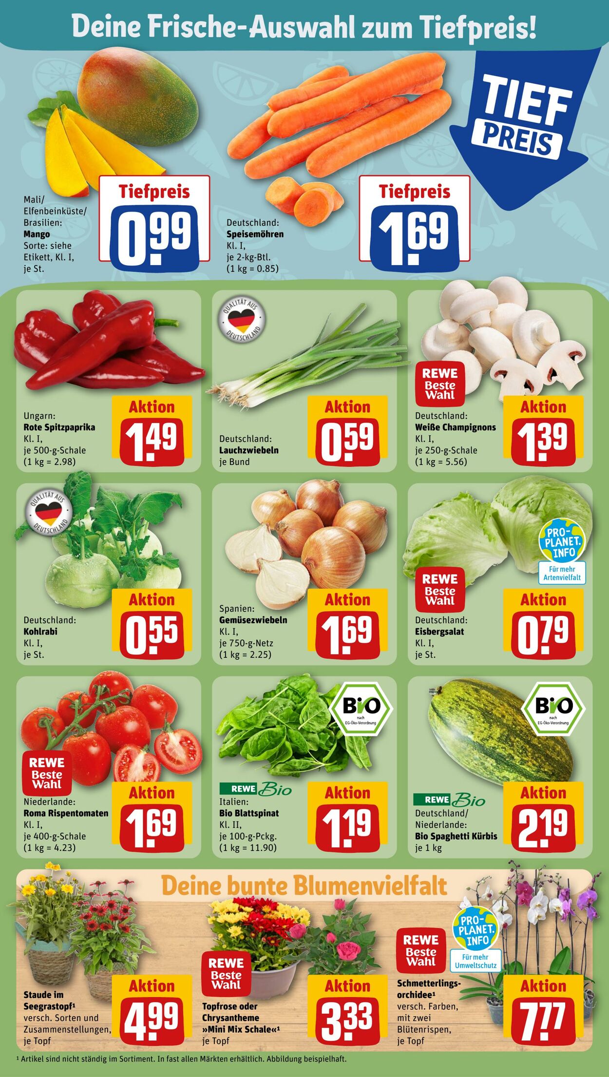 Prospekt Rewe 27.08.2023 - 02.09.2023