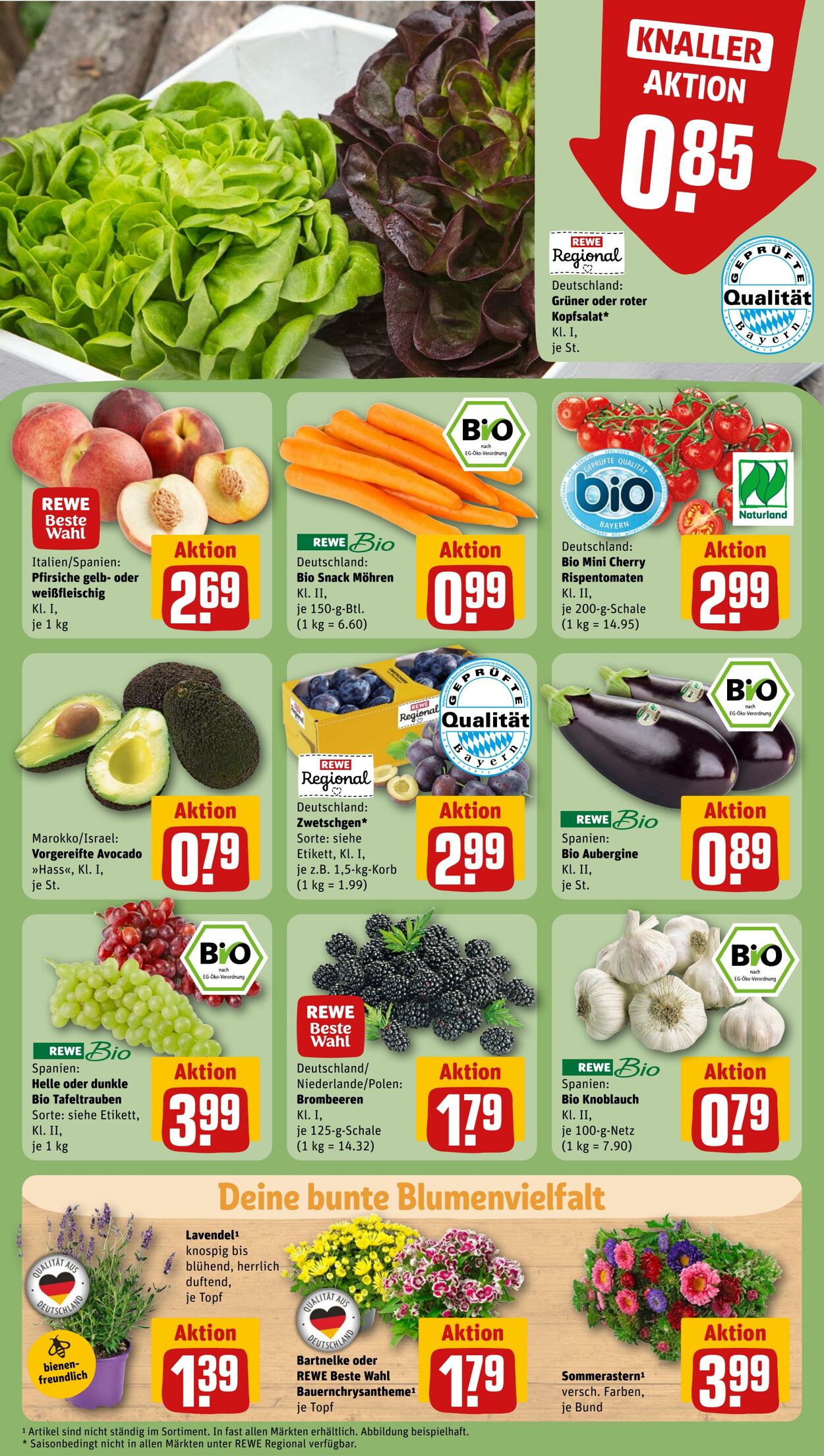 Prospekt Rewe 21.08.2023 - 26.08.2023