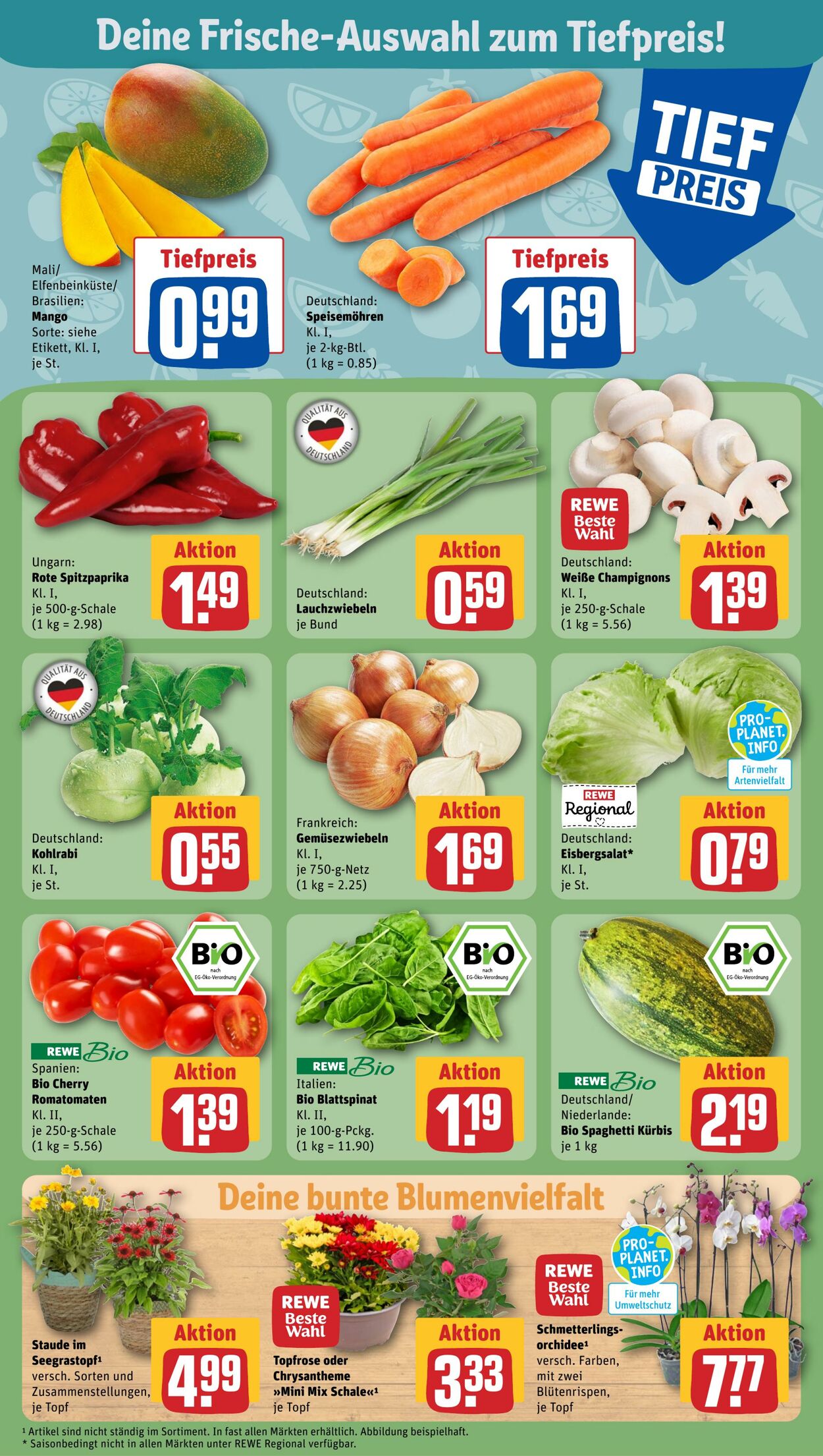 Prospekt Rewe 28.08.2023 - 02.09.2023