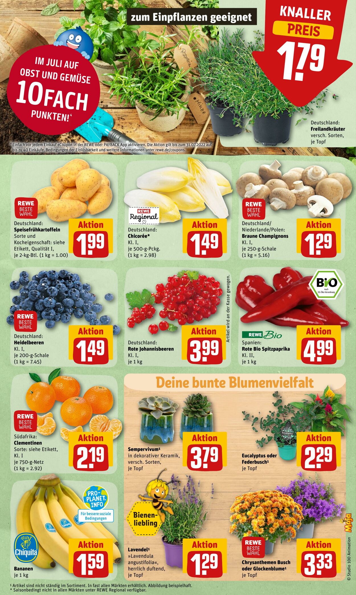 Prospekt Rewe 25.07.2022 - 30.07.2022