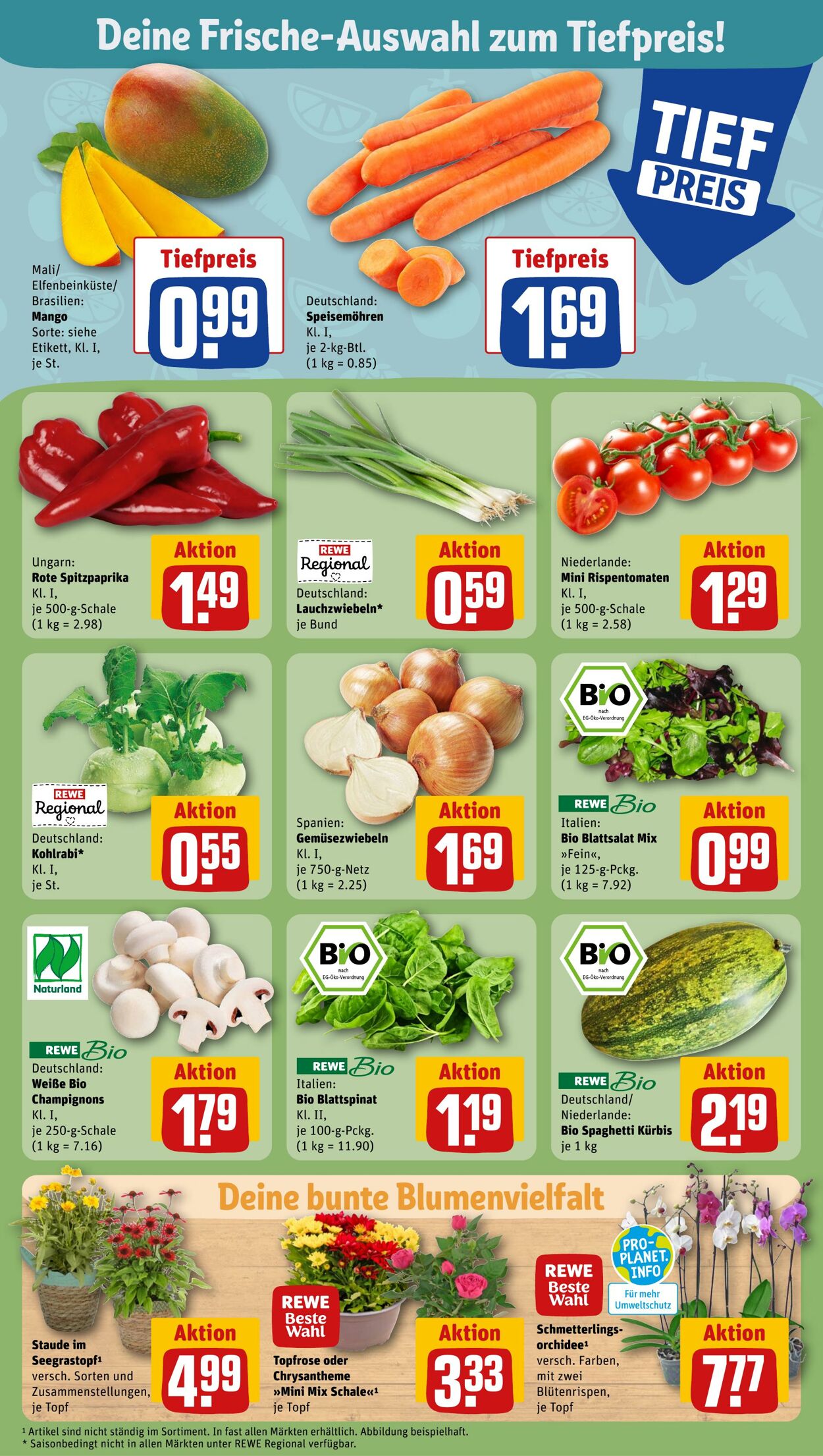 Prospekt Rewe 27.08.2023 - 02.09.2023