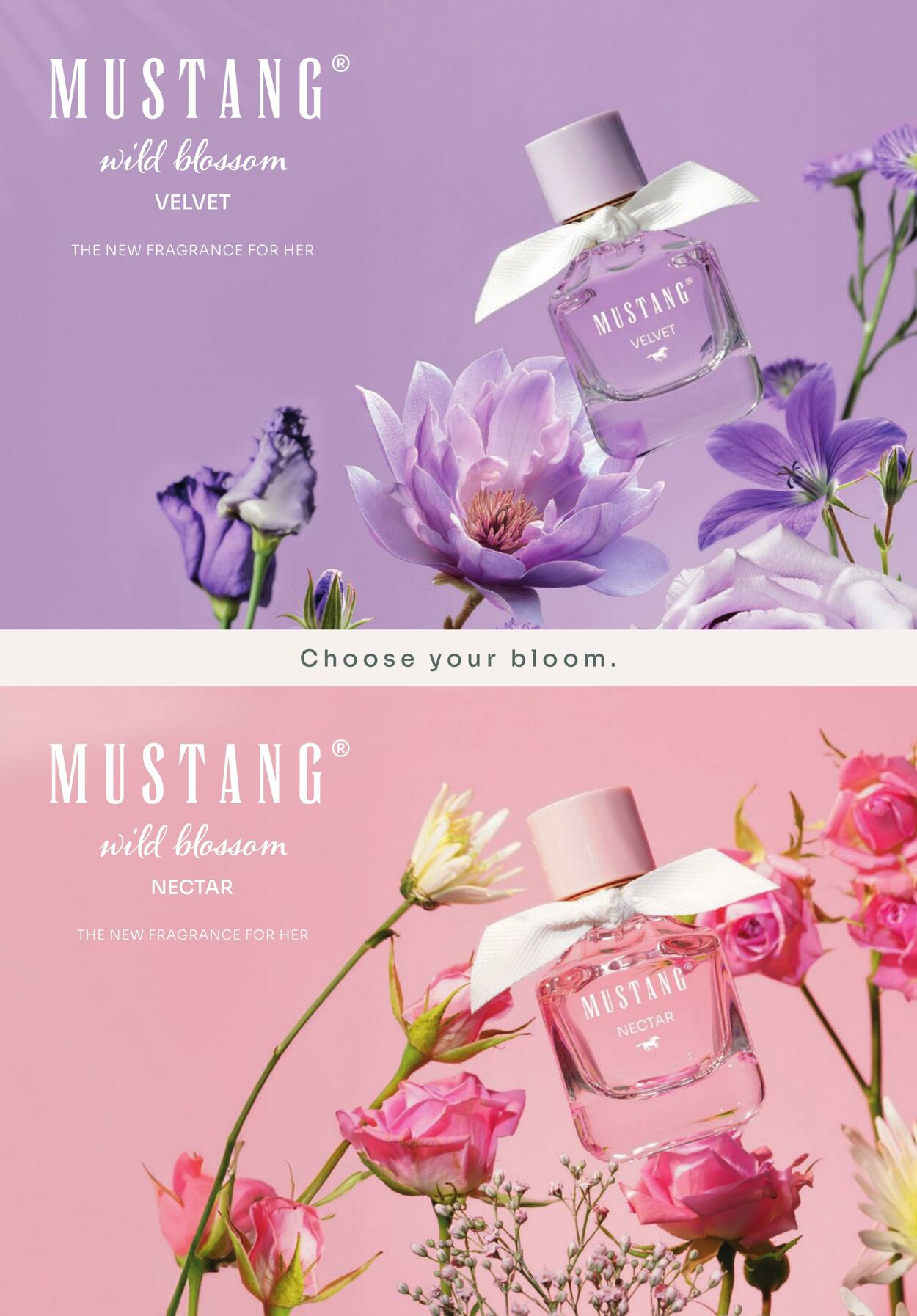 Prospekt Rossmann 01.07.2026 - 09.07.2026