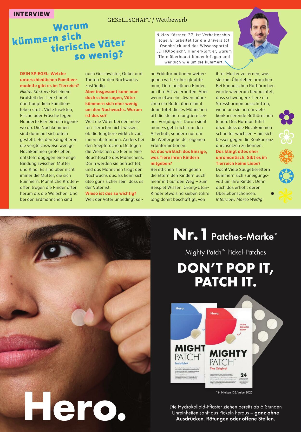 Prospekt Rossmann 01.04.2026 - 09.04.2026