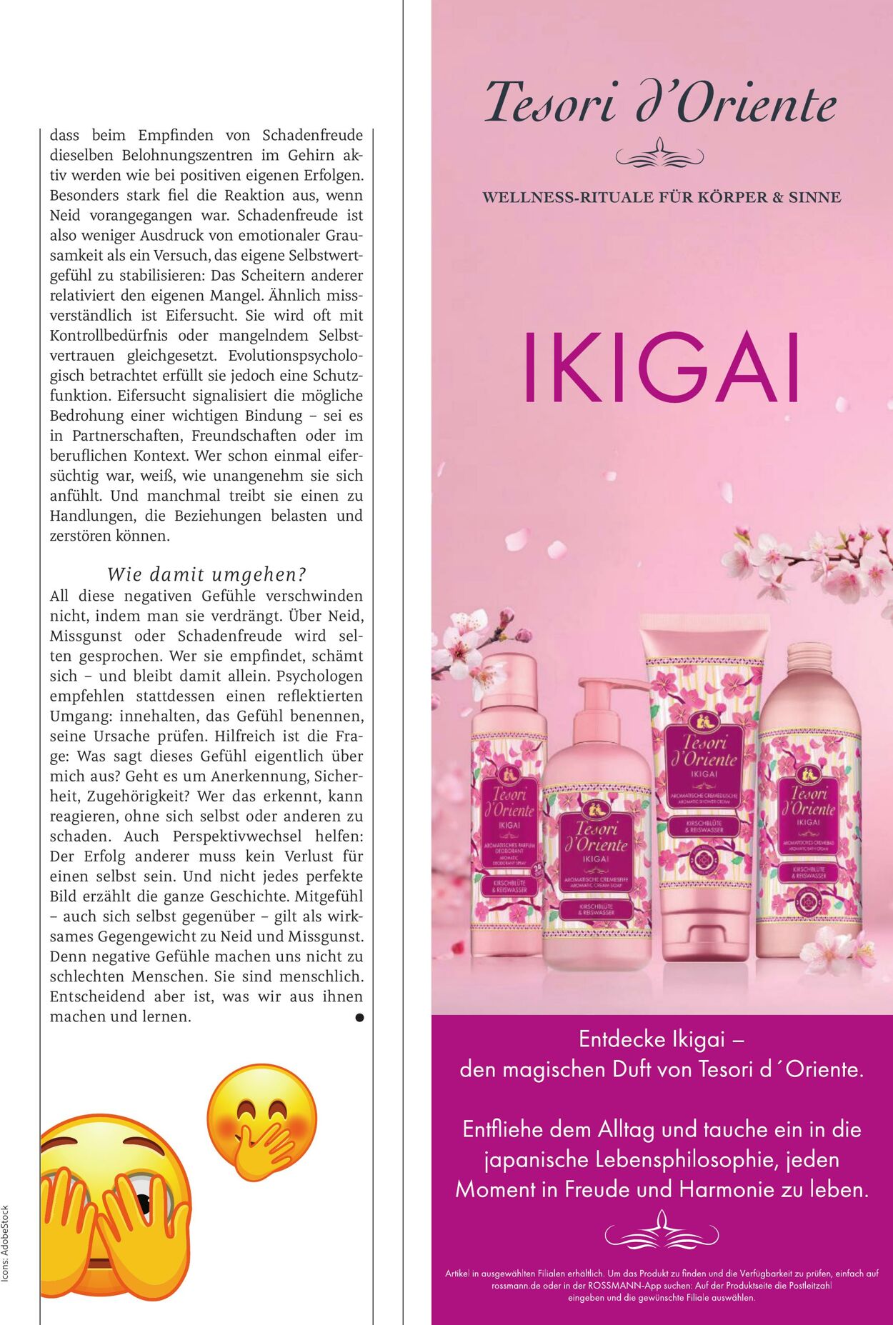 Prospekt Rossmann 01.04.2026 - 09.04.2026