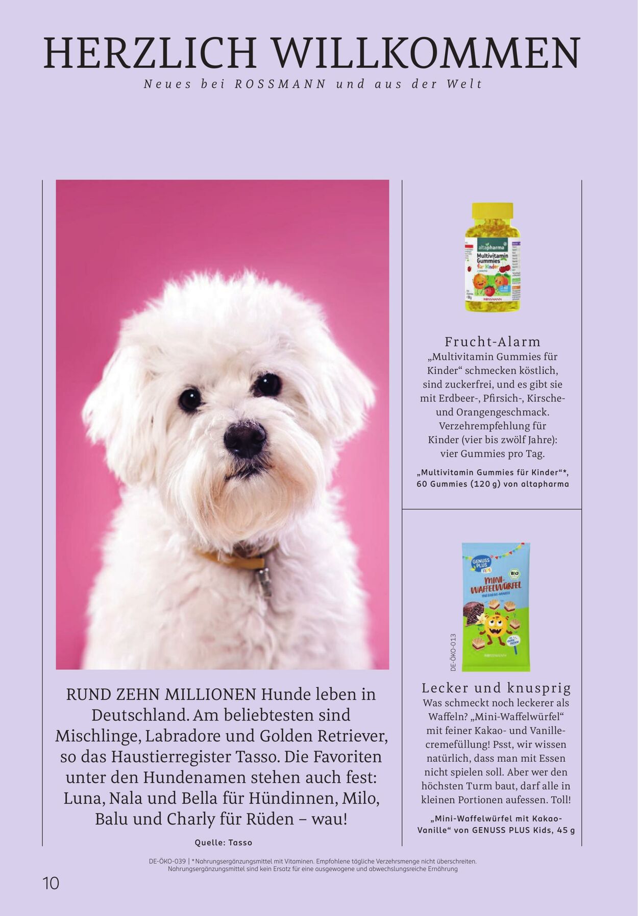 Prospekt Rossmann 01.04.2026 - 09.04.2026